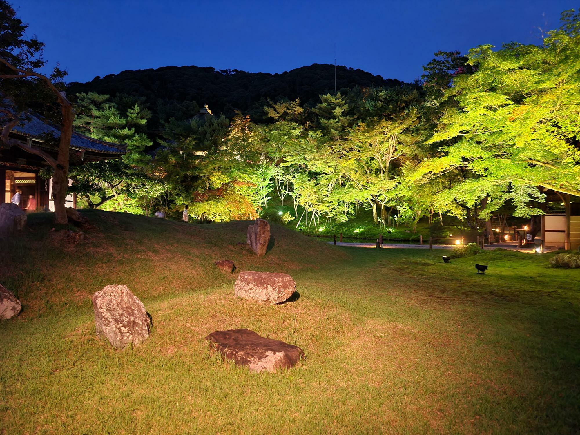 小堀遠州の作と伝わる高台寺庭園がライトアップ