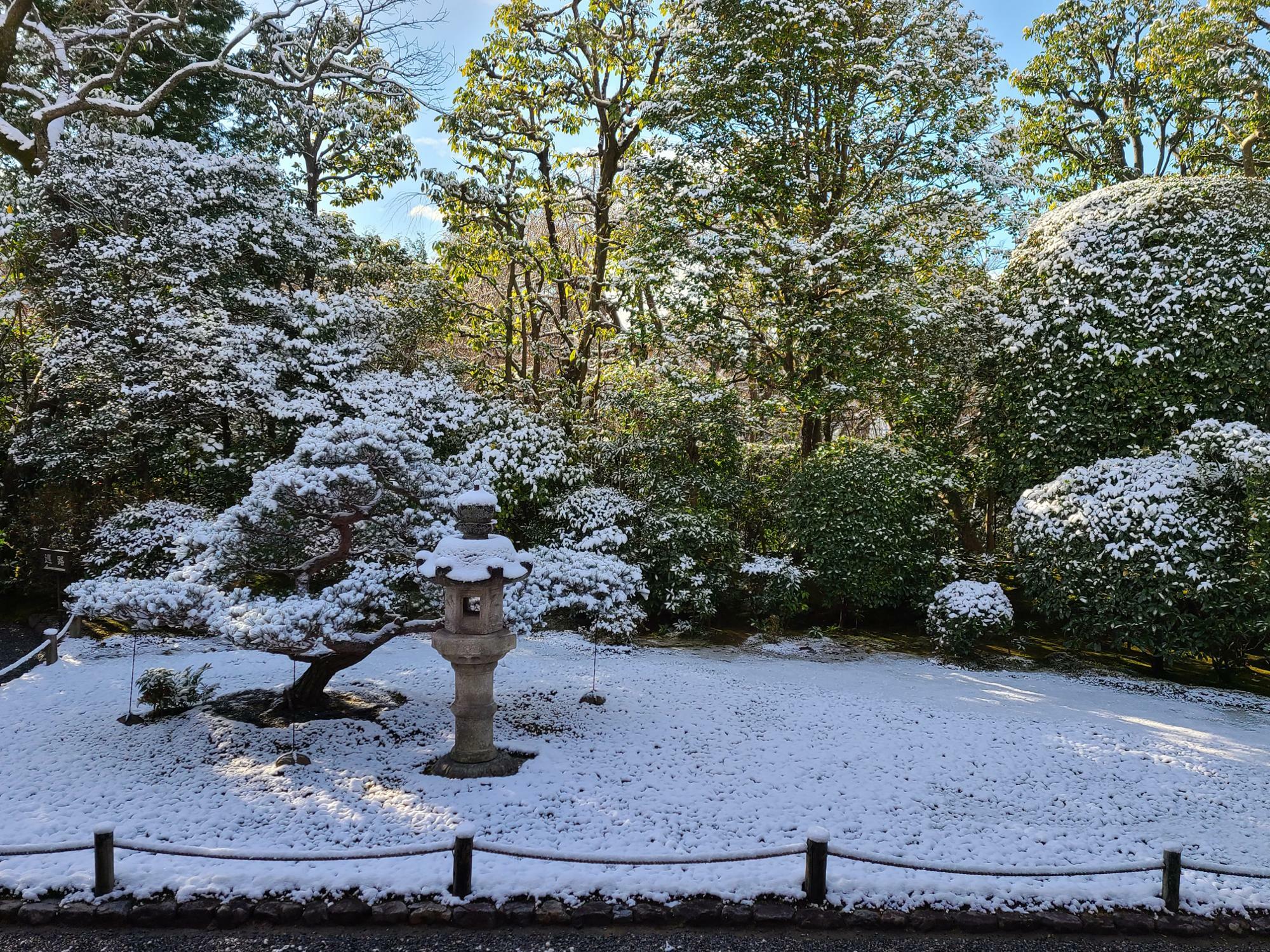 「元信の庭」にも降雪
