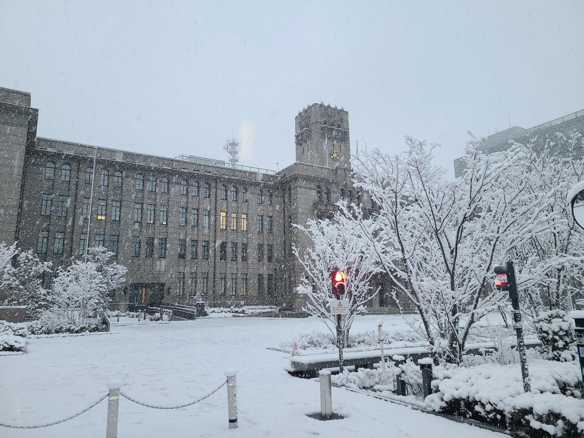 京都市役所も雪化粧　2022年1月21日7：40分現在