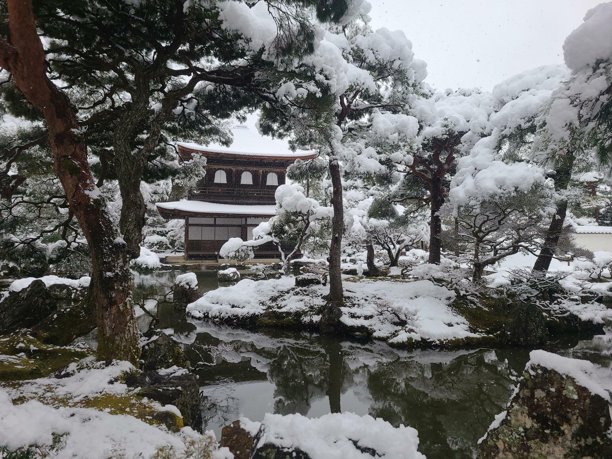 銀閣寺の観音殿も雪化粧　2022年1月21日9：15分現在