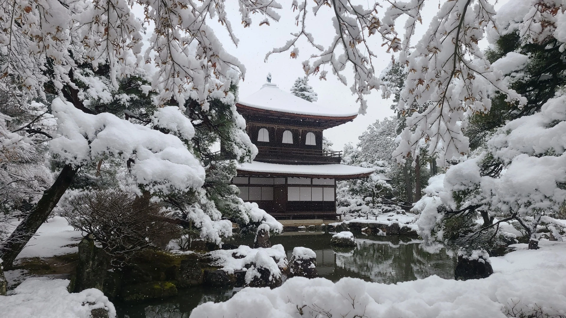 日本最大のブランド おりん 京都 雪 日用品/生活雑貨 www.win-ed.com.bd