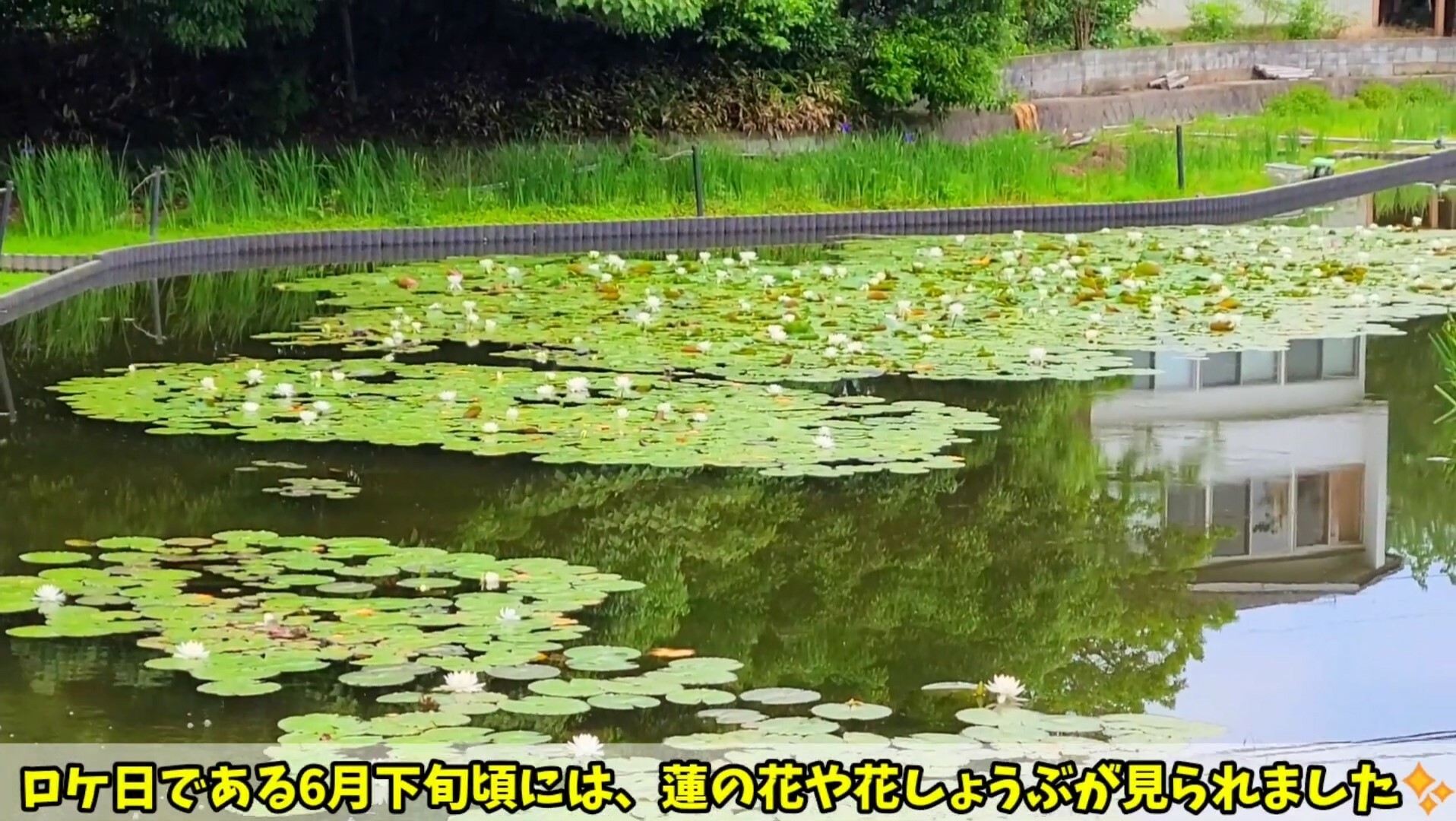 YouTube動画「しょこたま京都ぶらり旅」より
