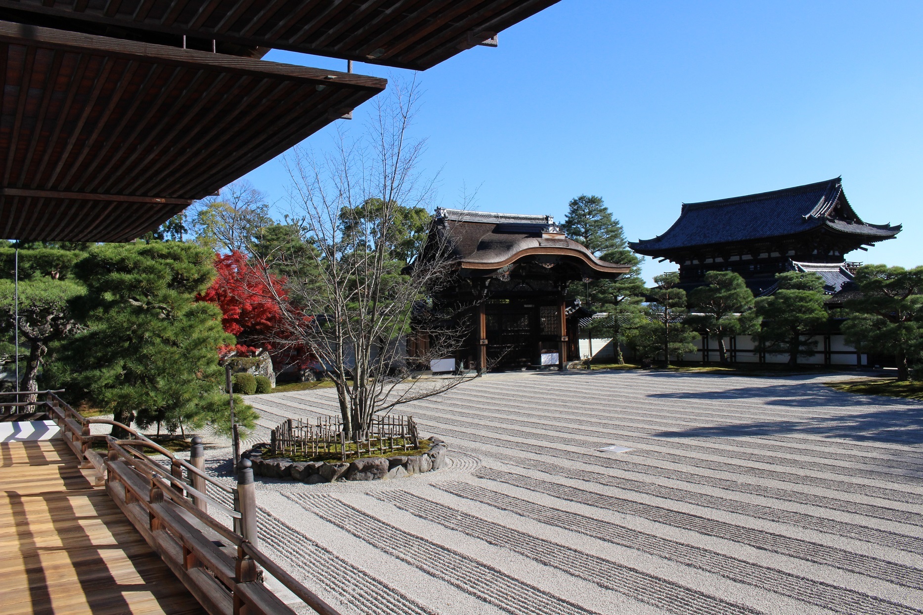 京都市観光協会提供