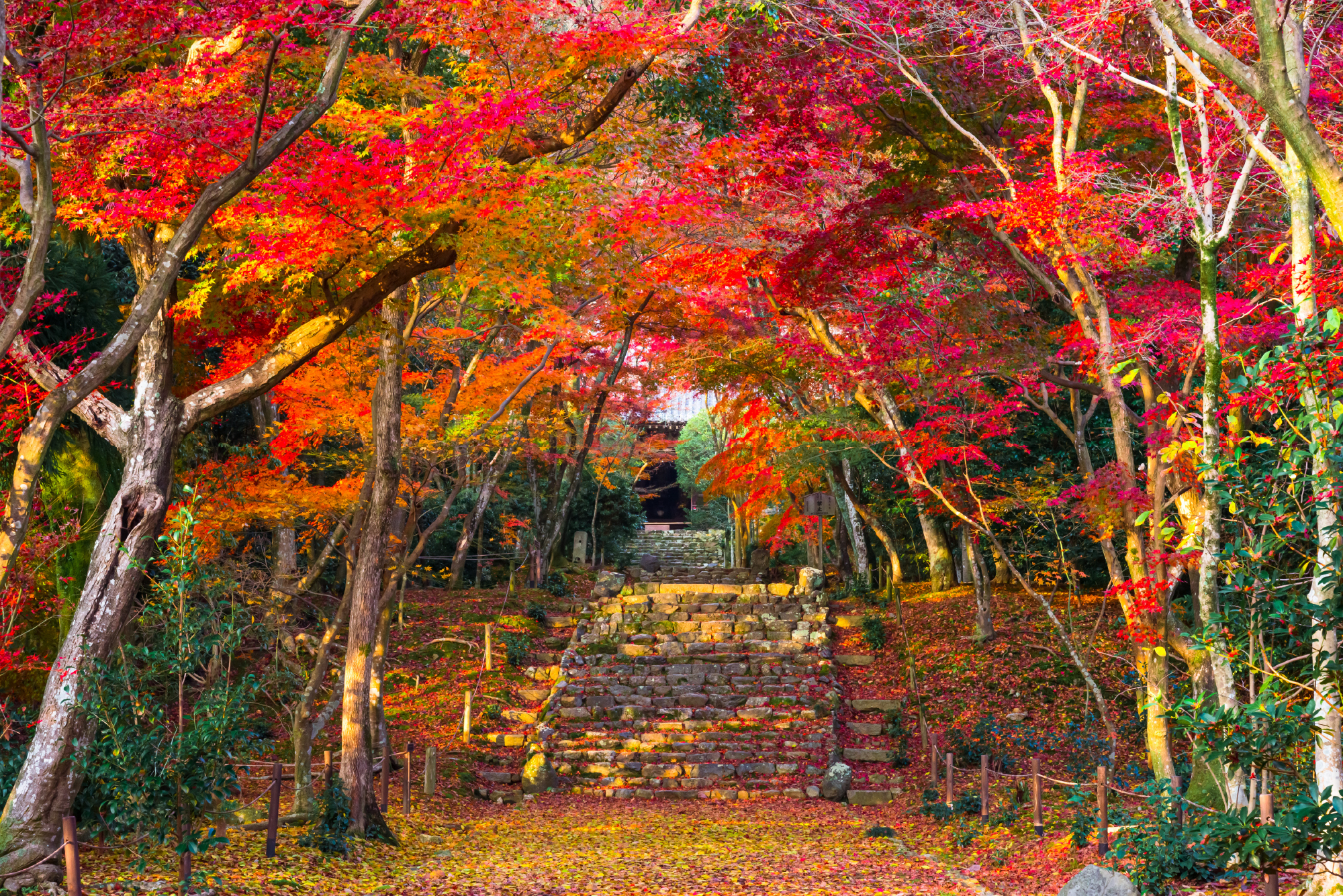 京都・洛西 浄住寺　©水野秀比古