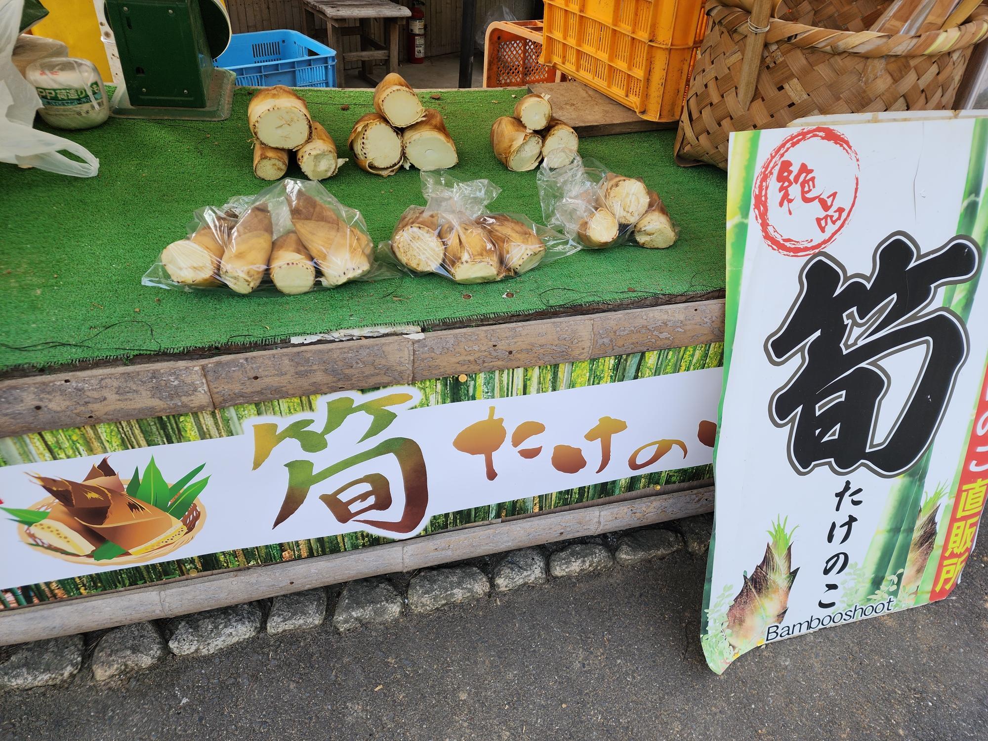 京都産　報恩寺筍　8キロ 京都報恩寺産たけのこ（筍）山菜の通販／丹波篠山食料品店