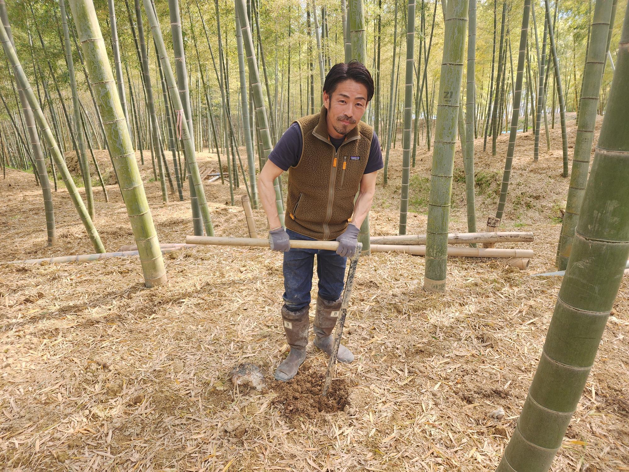 【テレビで話題】 京都市西京区】たけのこ最盛期 日本一のブランドたけのこが 野菜