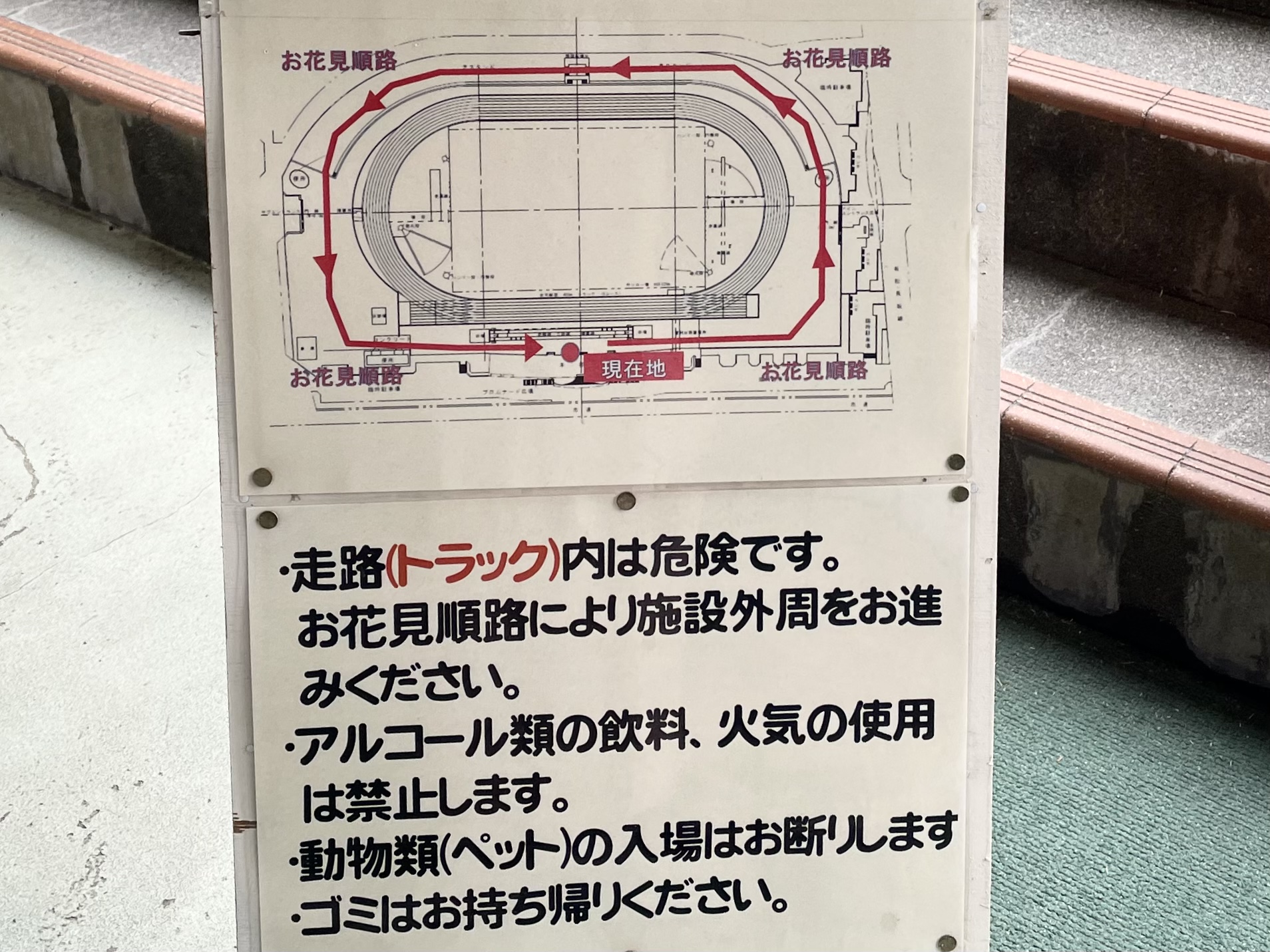 【金沢市】陸上競技場が4/9まで無料開放中！100本の桜並木が魅了する現在の様子（和泉みほ） エキスパート Yahoo!ニュース