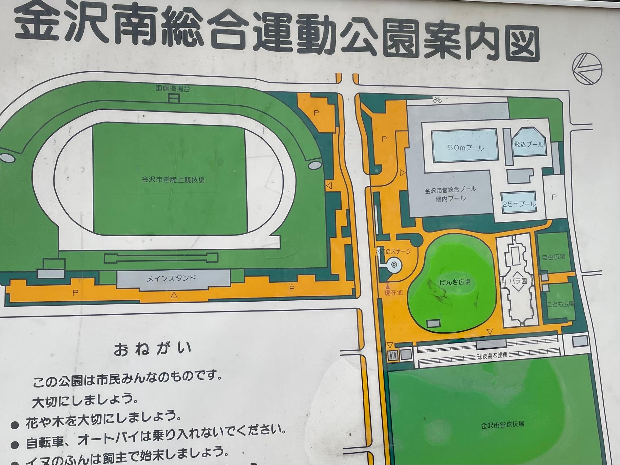 【金沢市】陸上競技場が4/9まで無料開放中！100本の桜並木が魅了する現在の様子（和泉みほ） エキスパート Yahoo!ニュース