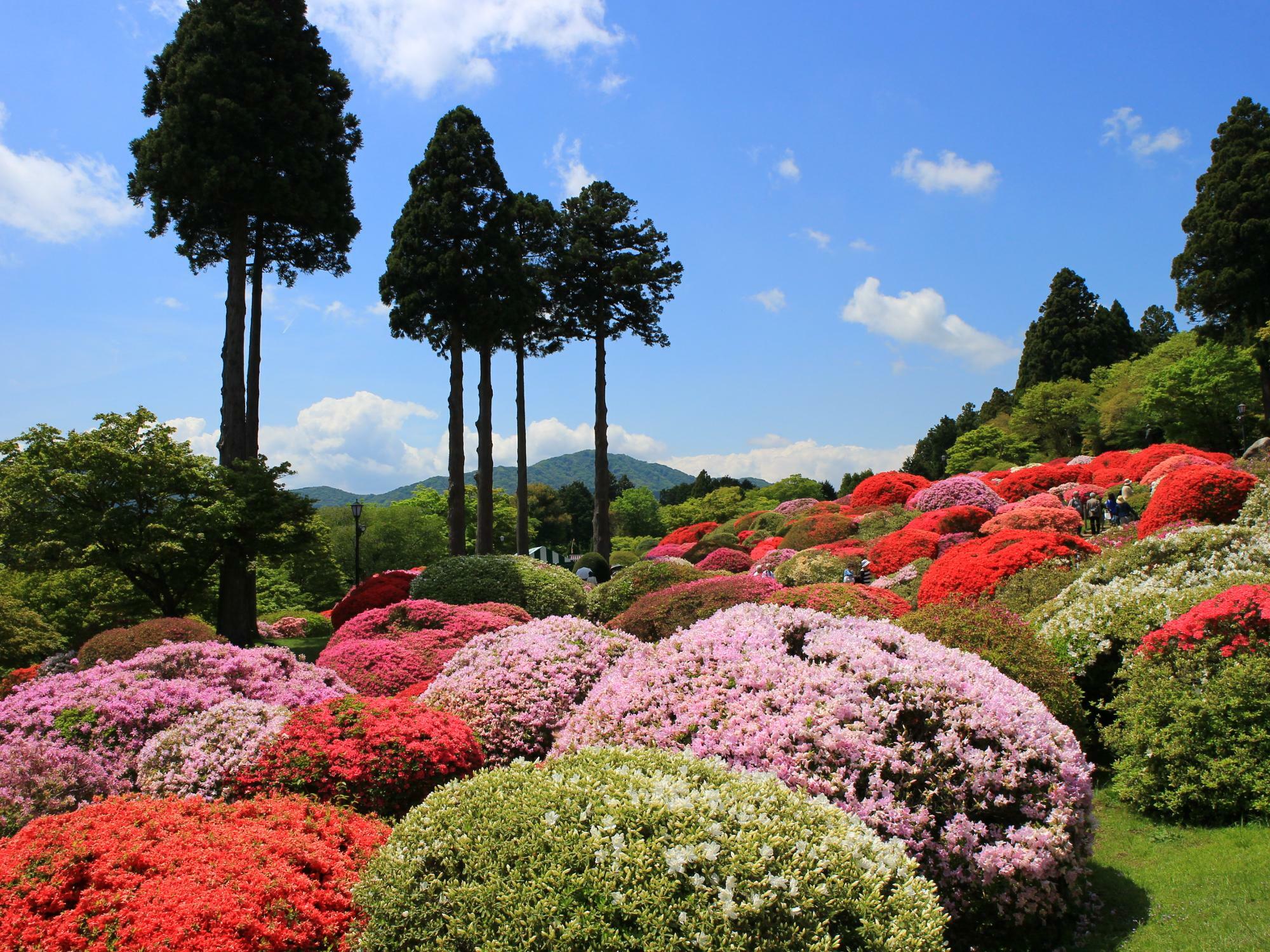 小田急 山のホテルの庭園