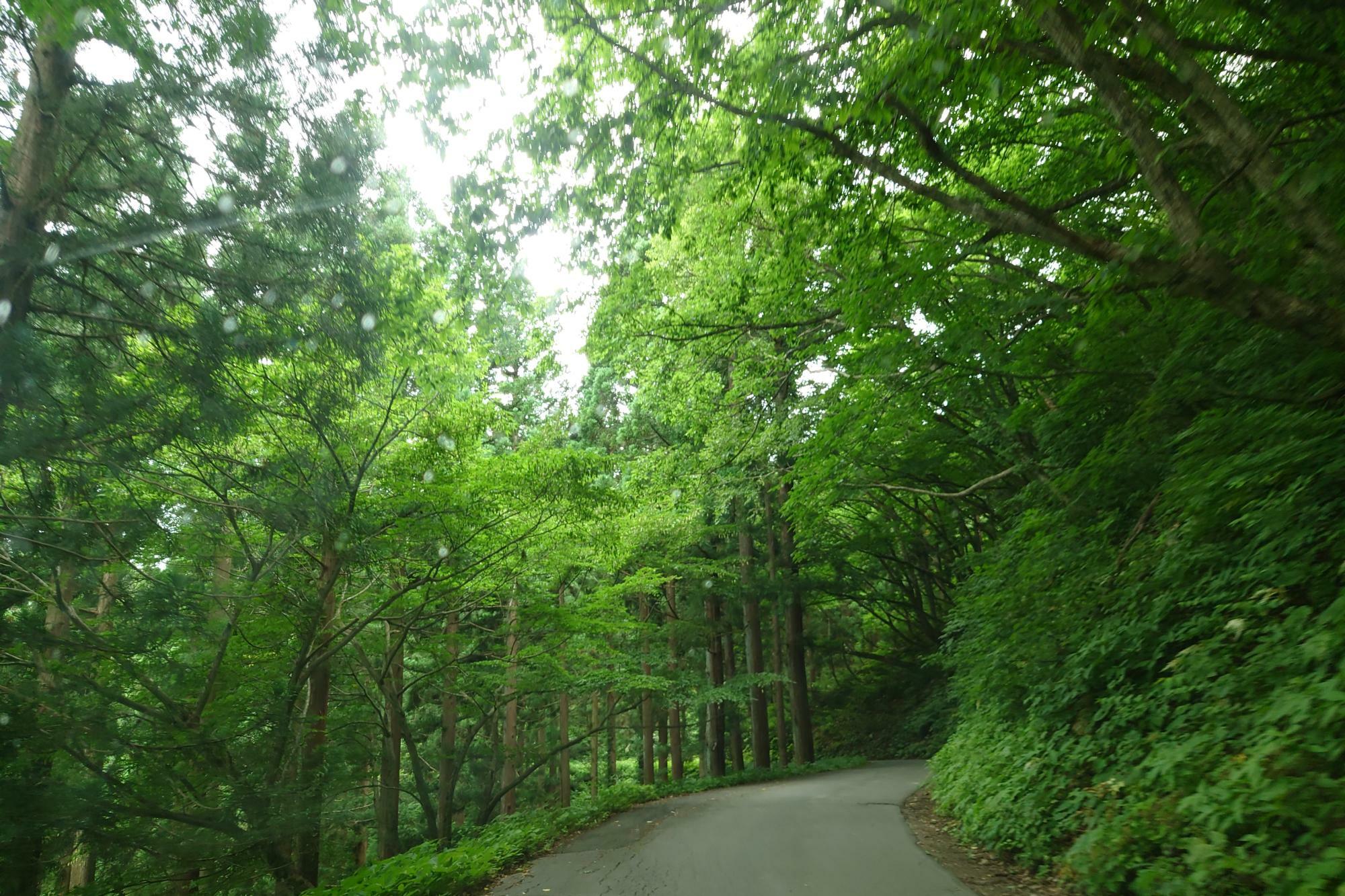 峠駅から滑川温泉に至る道