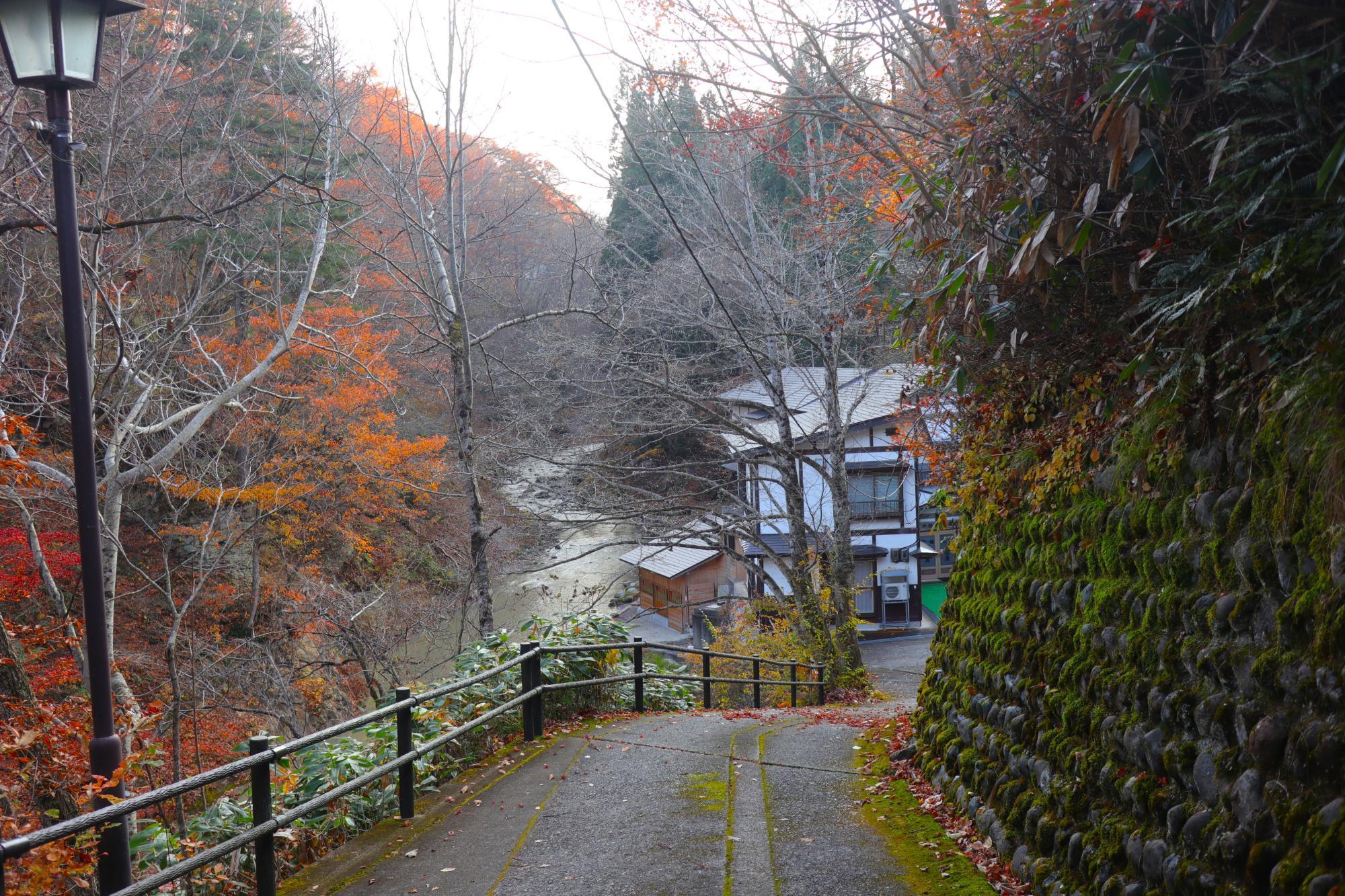 坂の下に見えてきた旅館 井筒屋