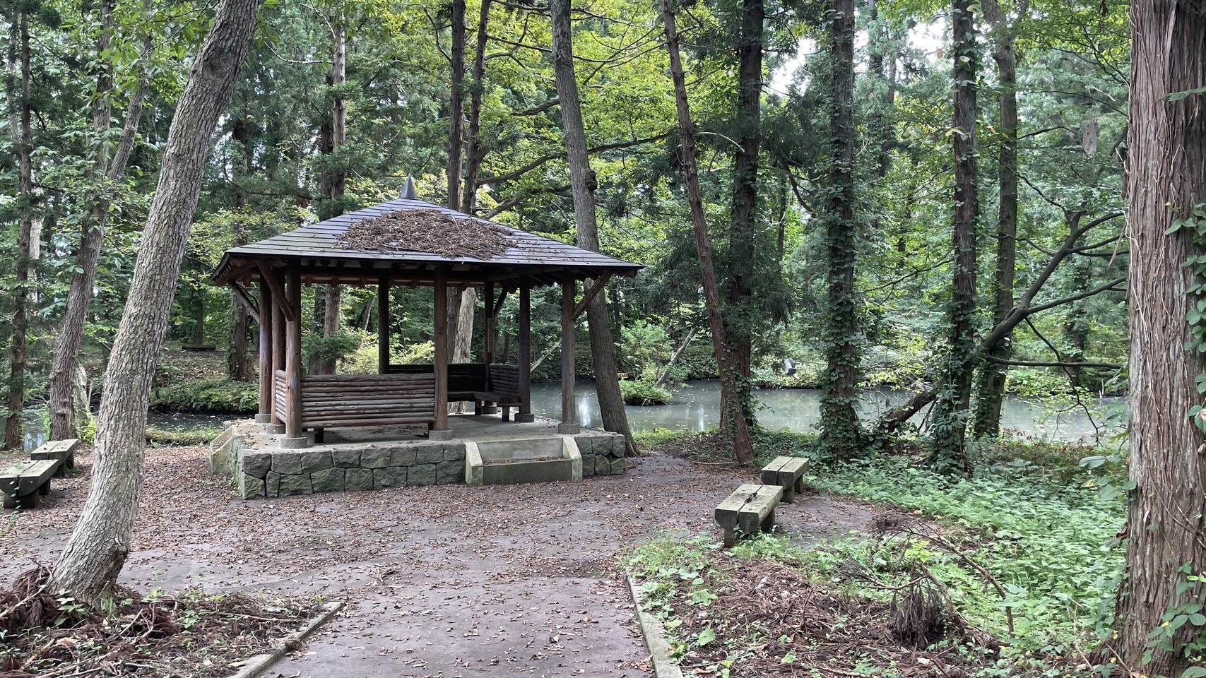 東屋の奥に沼が見えます