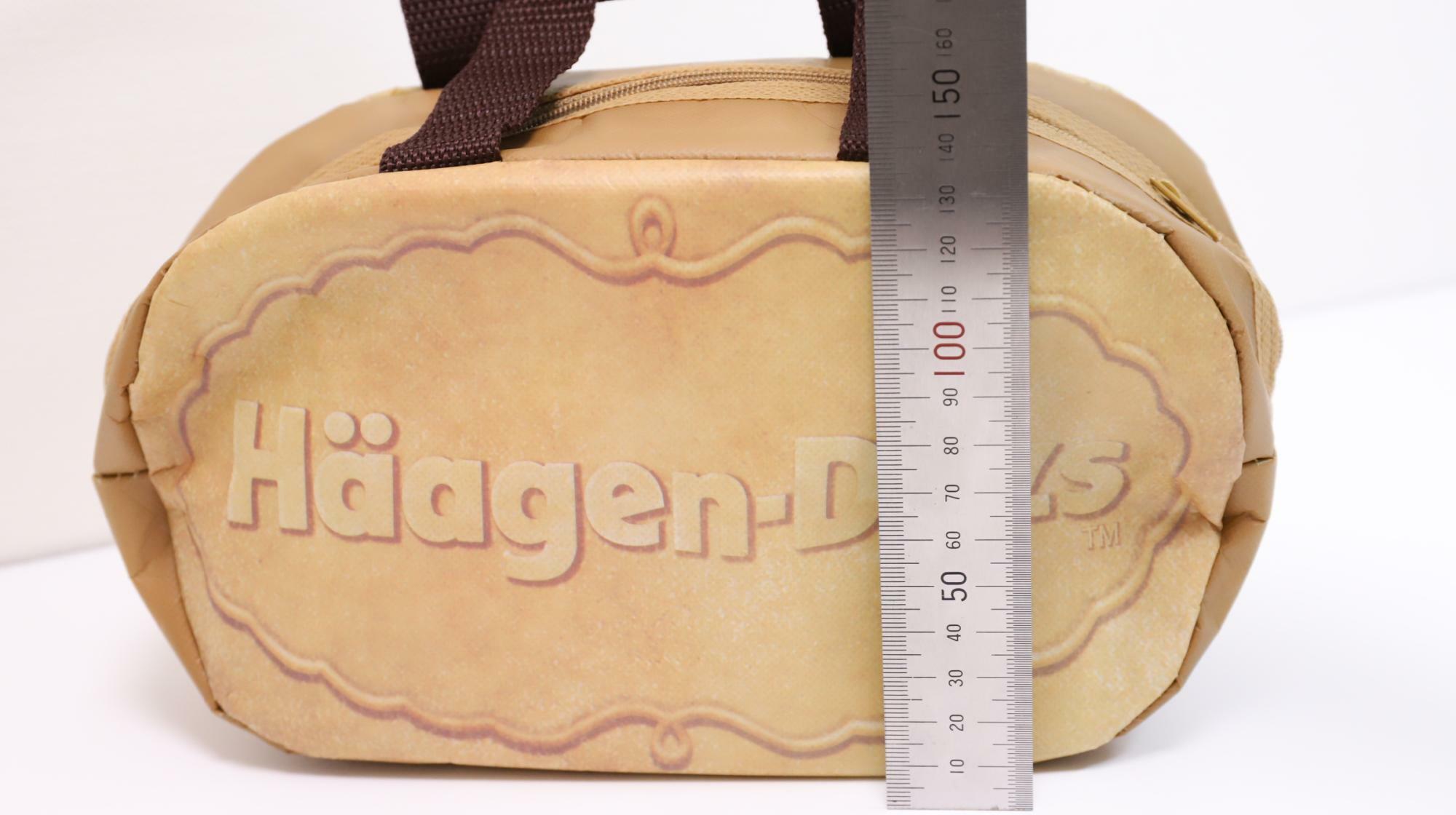 ハーゲンダッツの福袋についているクリスピーサンド型保冷バッグのサイズ