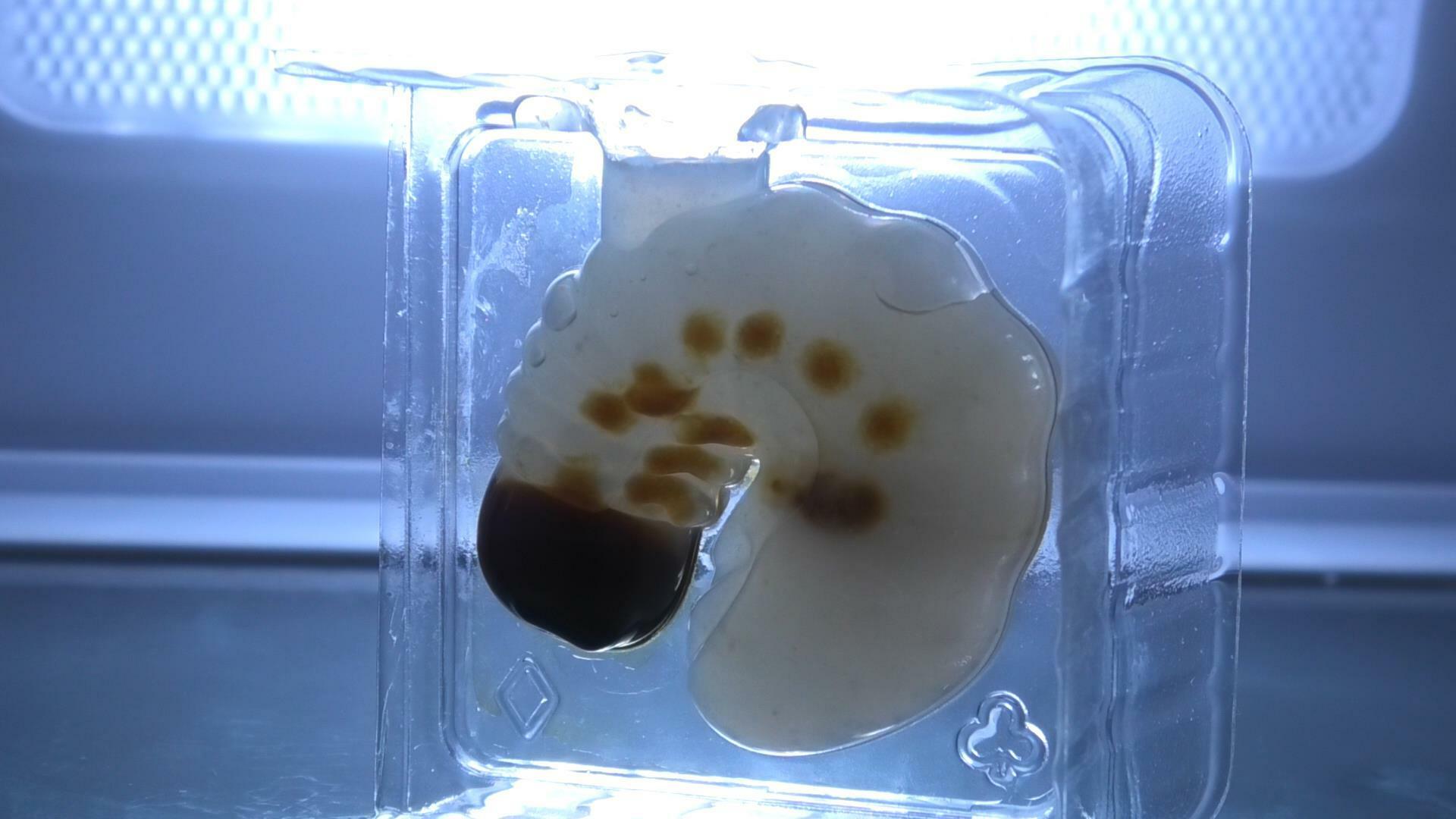 「つくってたべよう！幼虫3Dゼリー」　冷蔵庫で冷やす