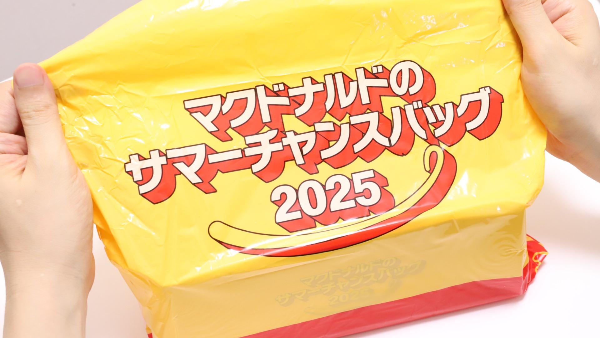 マクドナルドの夏福袋】ビッグマックファンが入ったマクドナルド