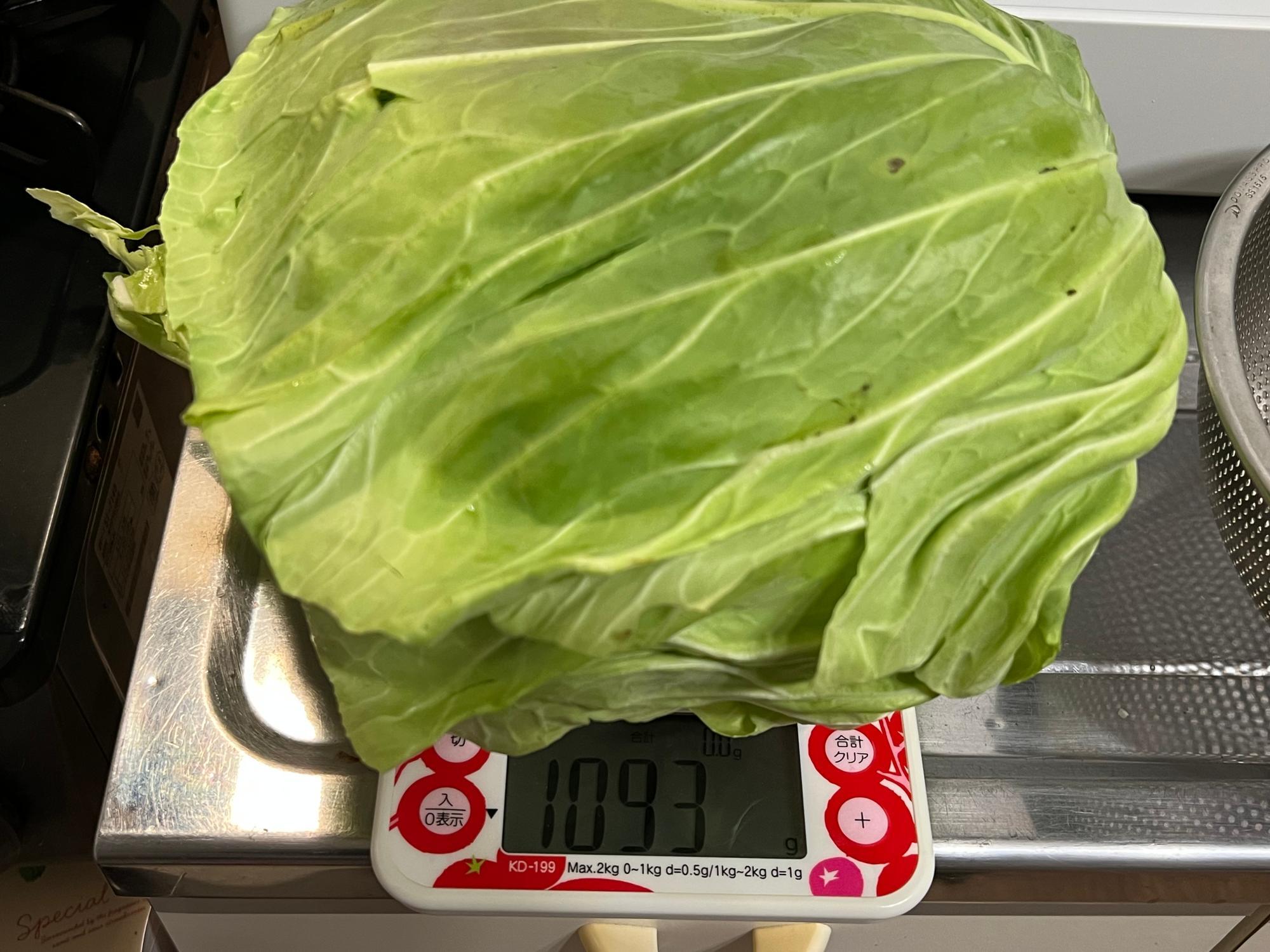 こちら約1.1kg