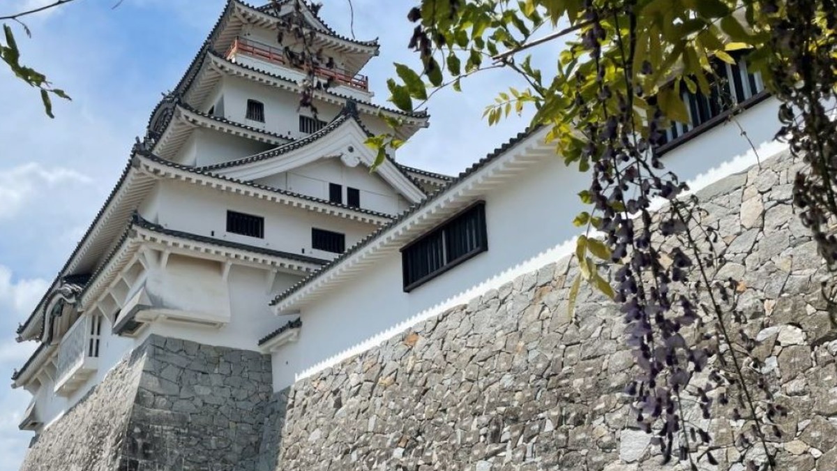 佐賀県 唐津市】GW突入。唐津のシンボル唐津城の藤の開花状況は 佐賀県 唐津市】GW突入。唐津のシンボル唐津城の藤の開花状況は