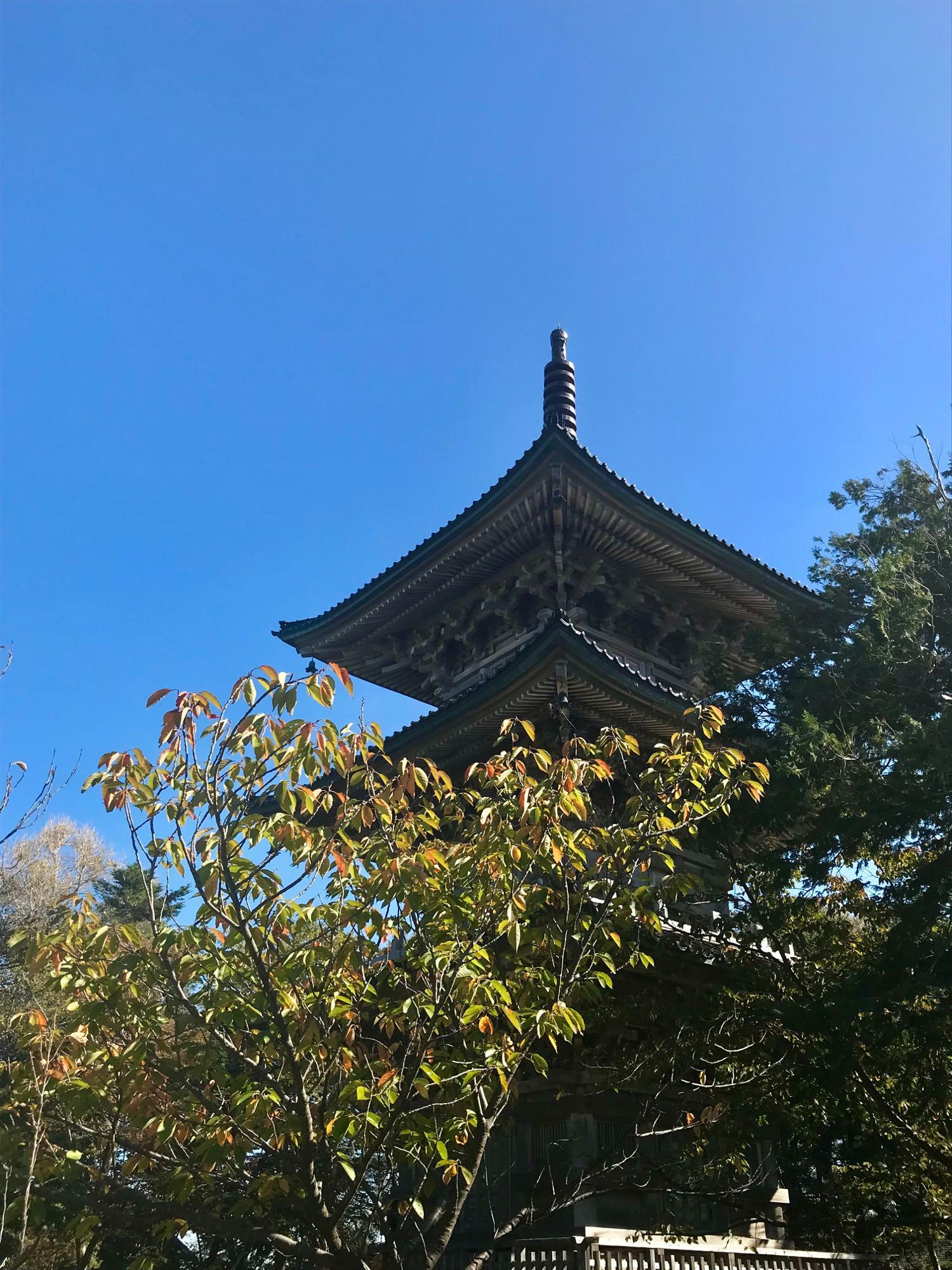 会場を見守る、五智のシンボルのひとつ五智国分寺の塔。当日も晴れるといいですね！