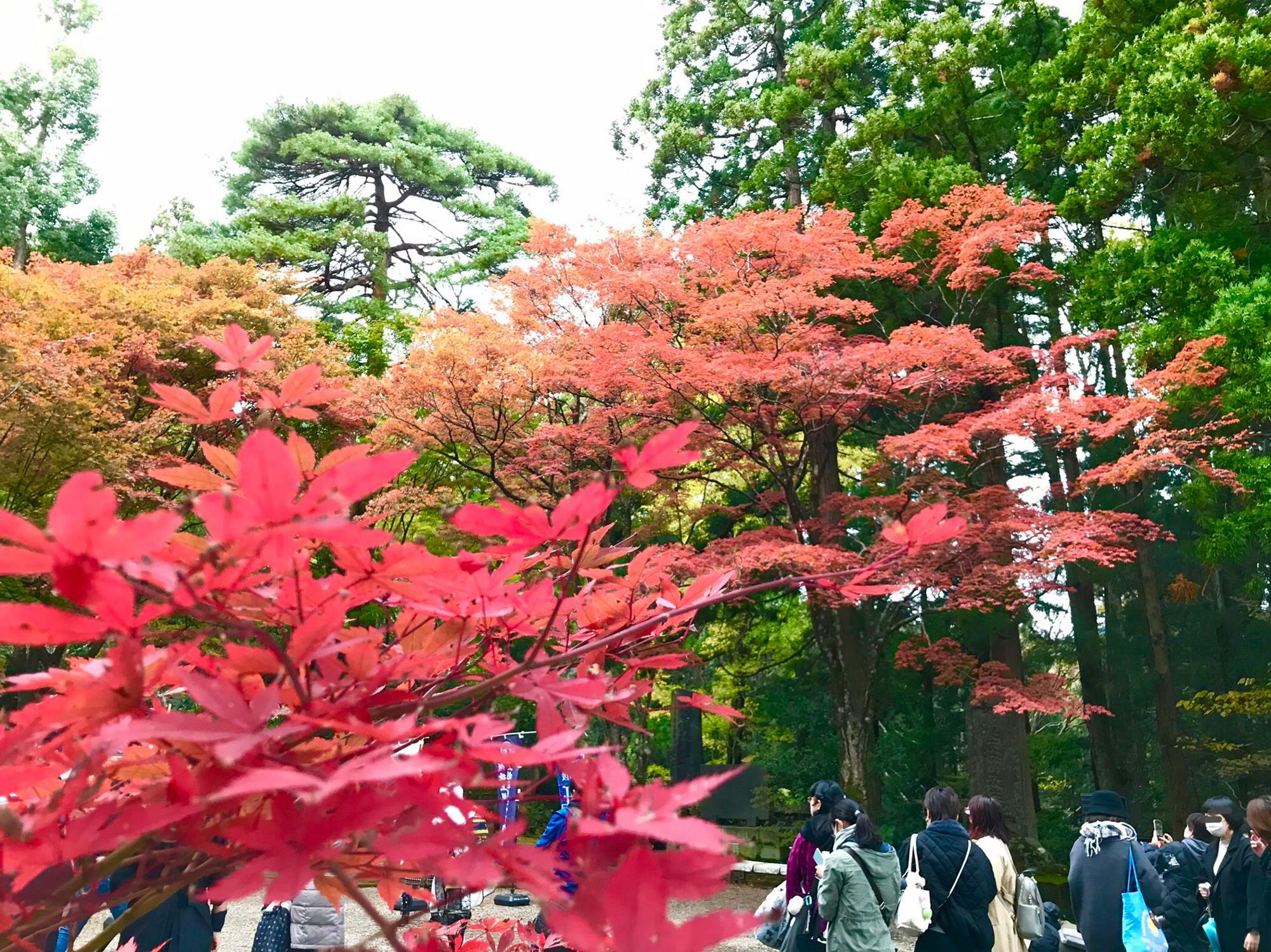 この日は春日山神社境内でイベントが行われていたので大勢の観光客がいらっしゃいました！このまま城跡へ登られる方も多かったです。