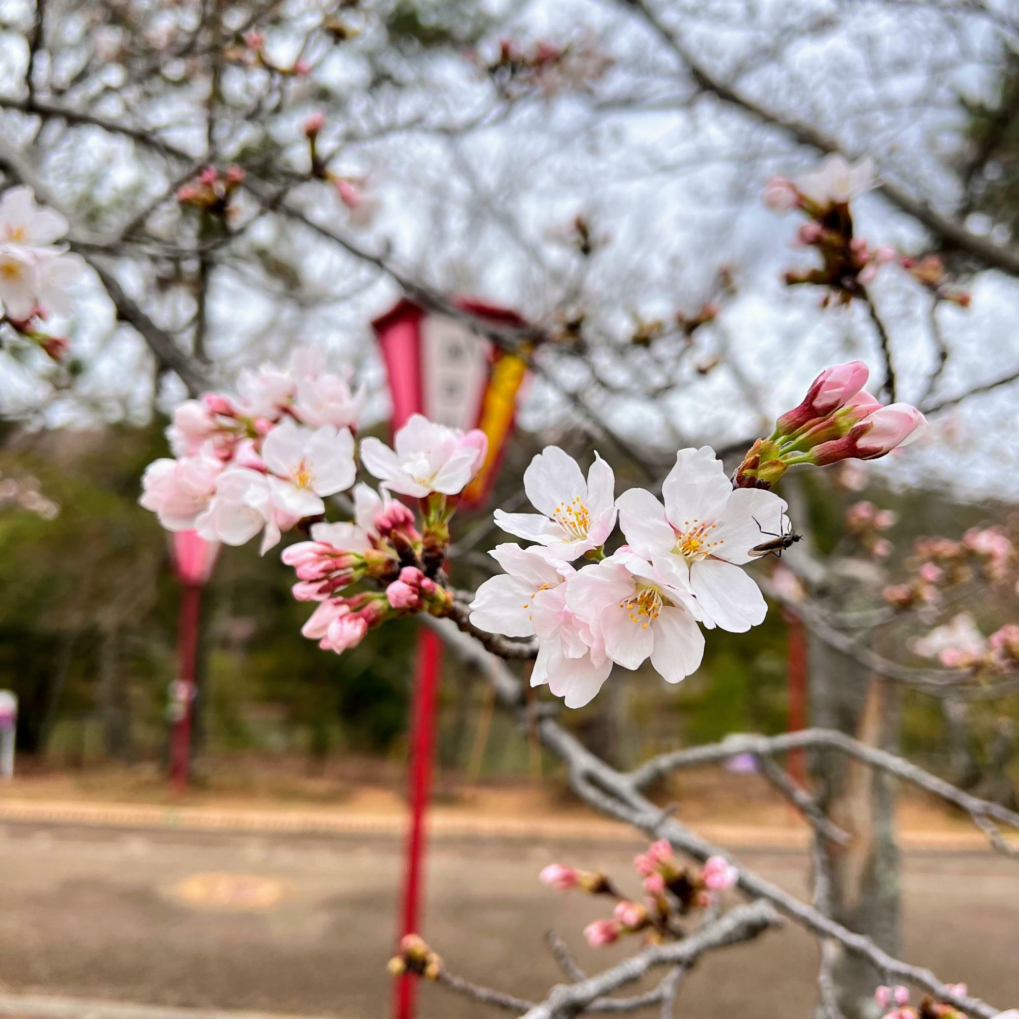 野球場の横で撮影