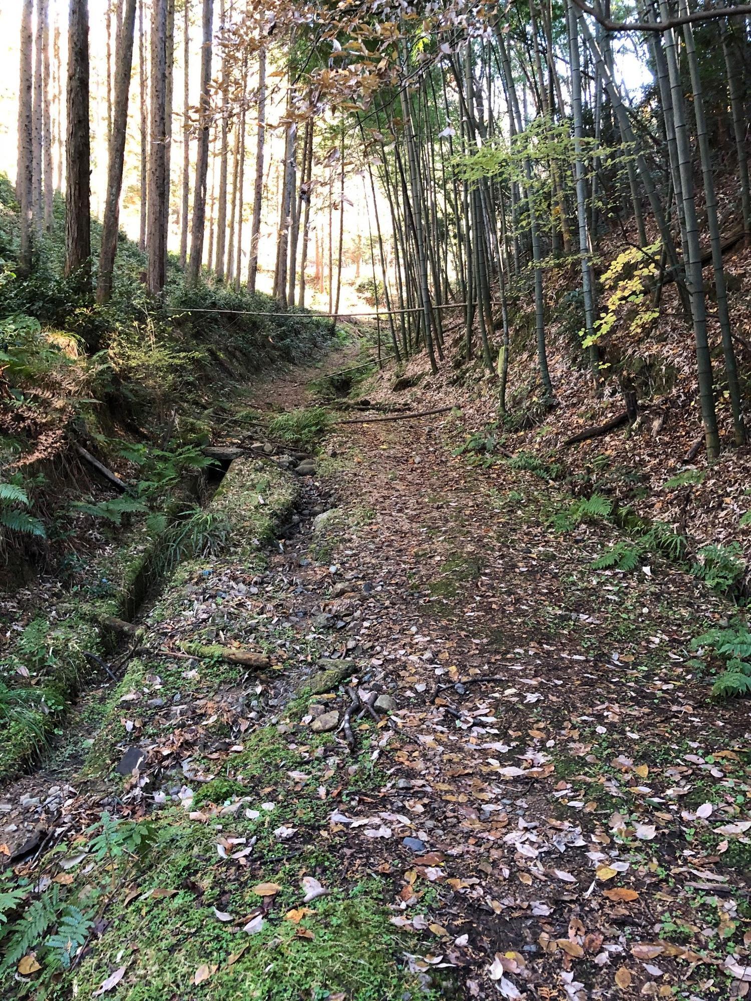 首塚大明神から先の山道