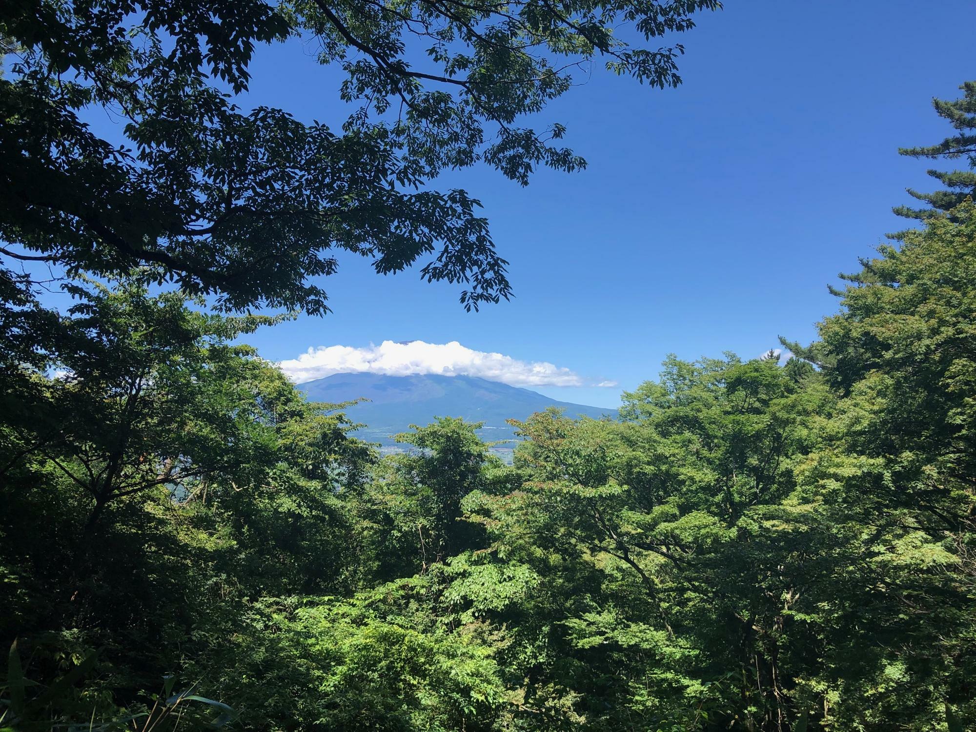 足柄古道途中の富士山の眺望スポット