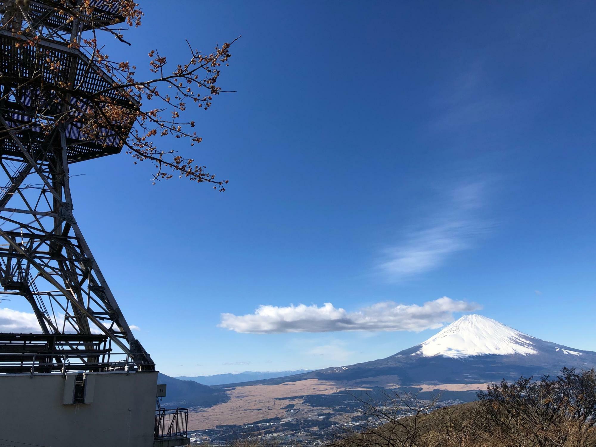 丸岳のピークに立つ電波塔と富士山