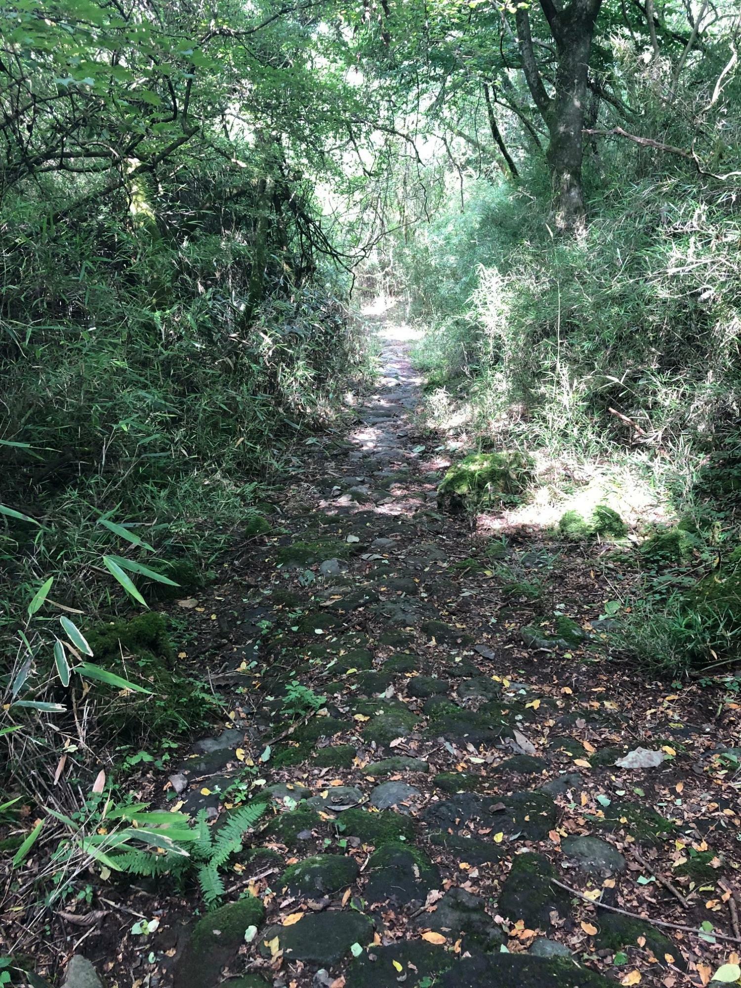 旧東海道・石畳の道