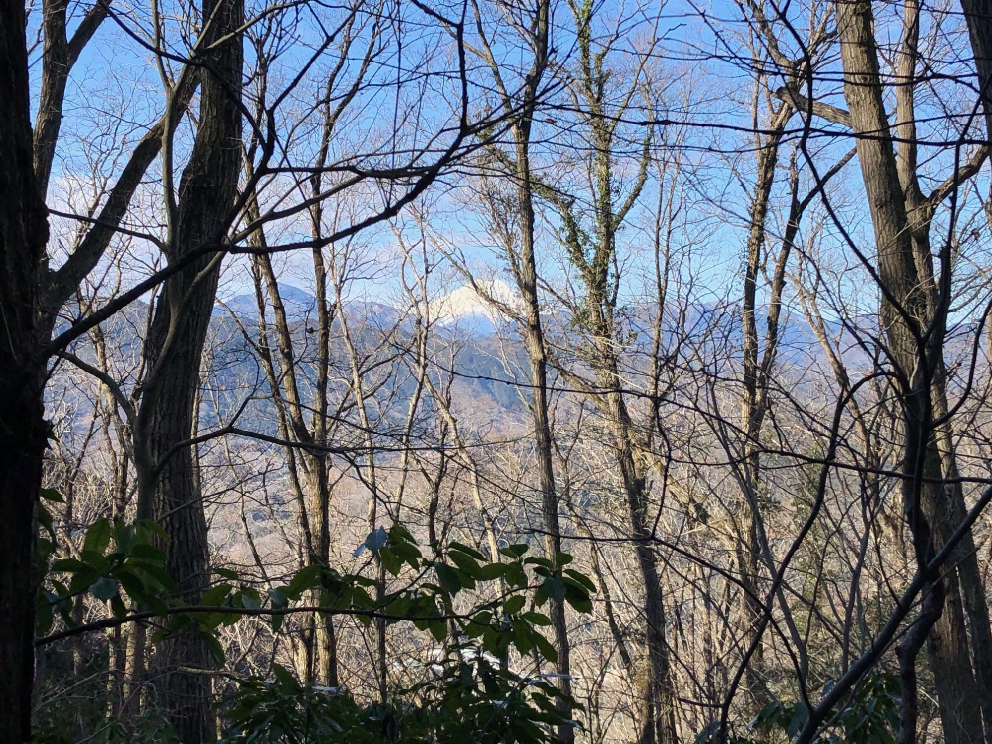 南高尾山稜の稜線に出て富士山が姿を現します