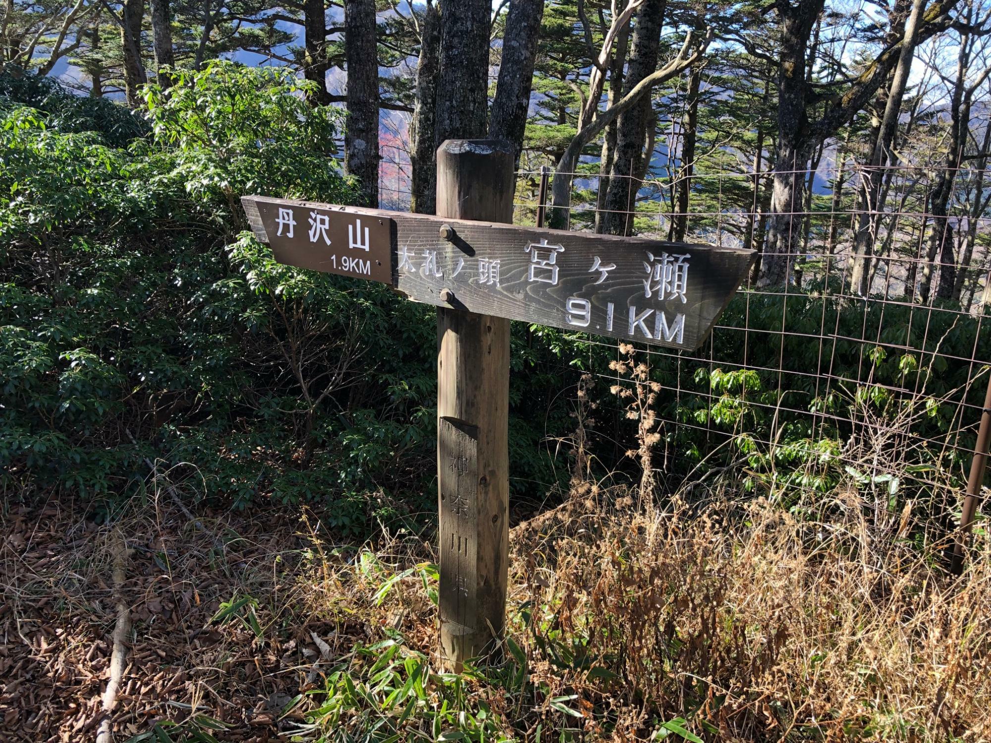 丹沢三峰第３のピーク「太礼ノ頭」　地味で平坦なピークです。