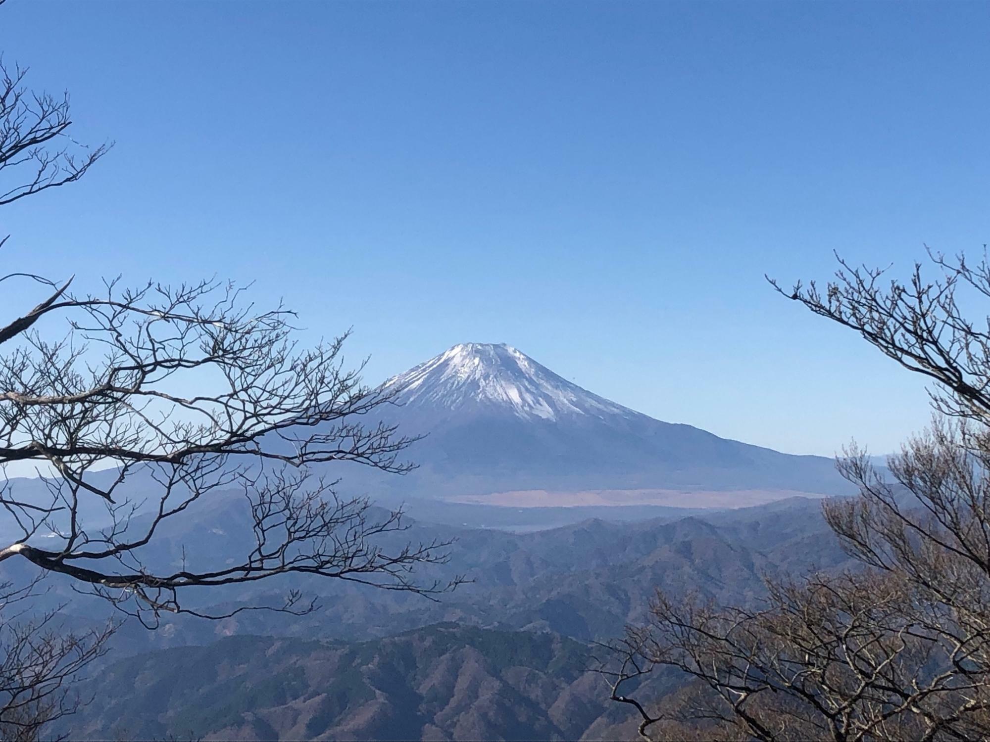 檜洞丸山頂から富士山