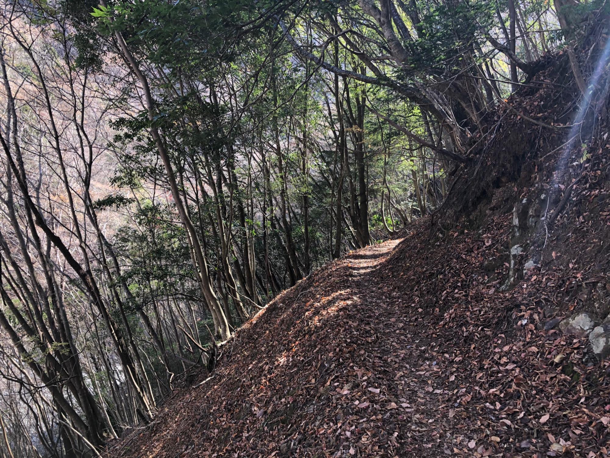 沢を高巻きする道