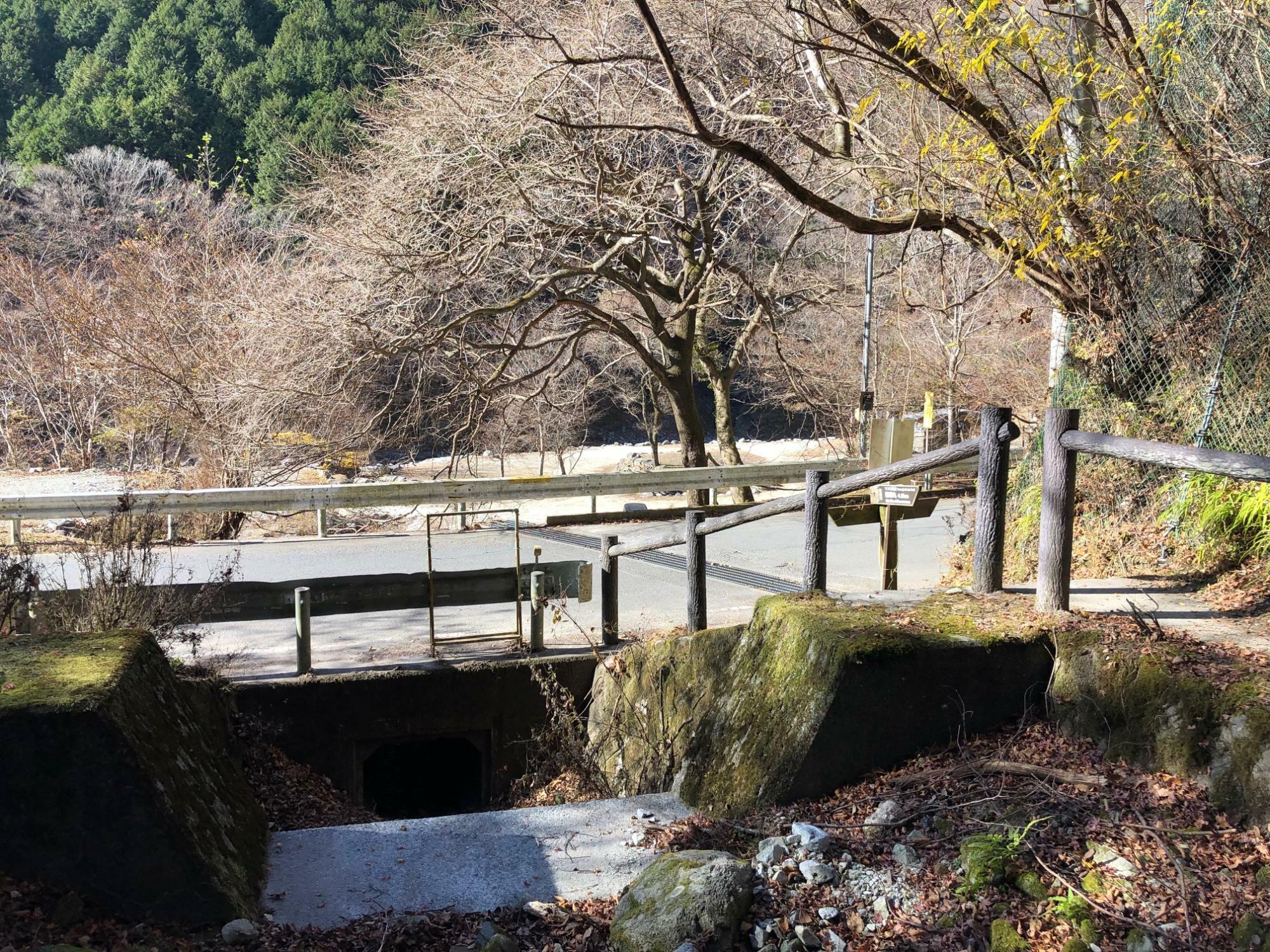 登山道から道路に合流