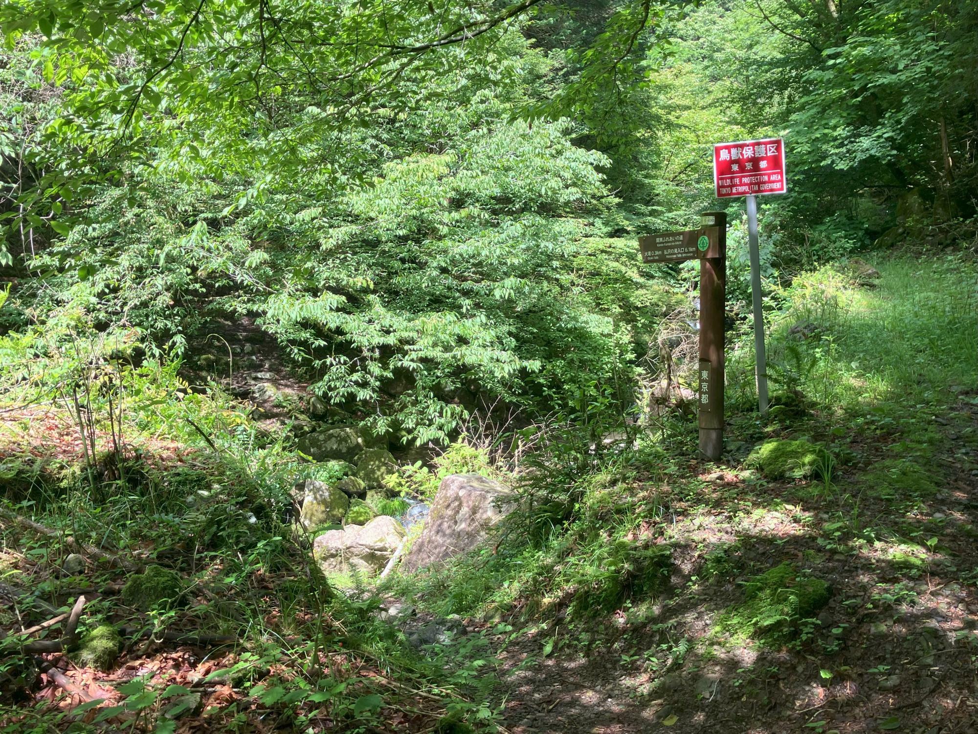 登山道入口