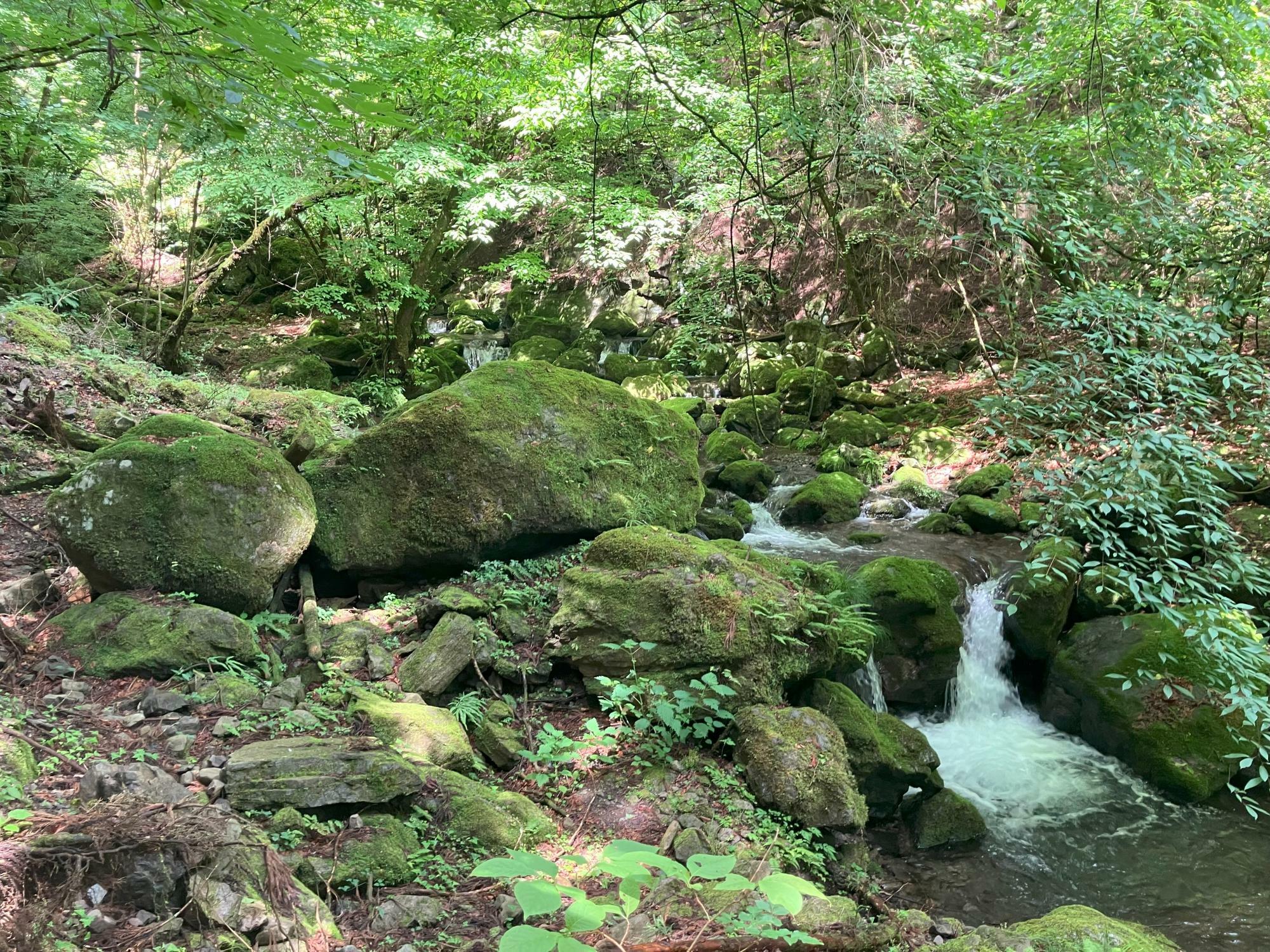 清流の道を歩く