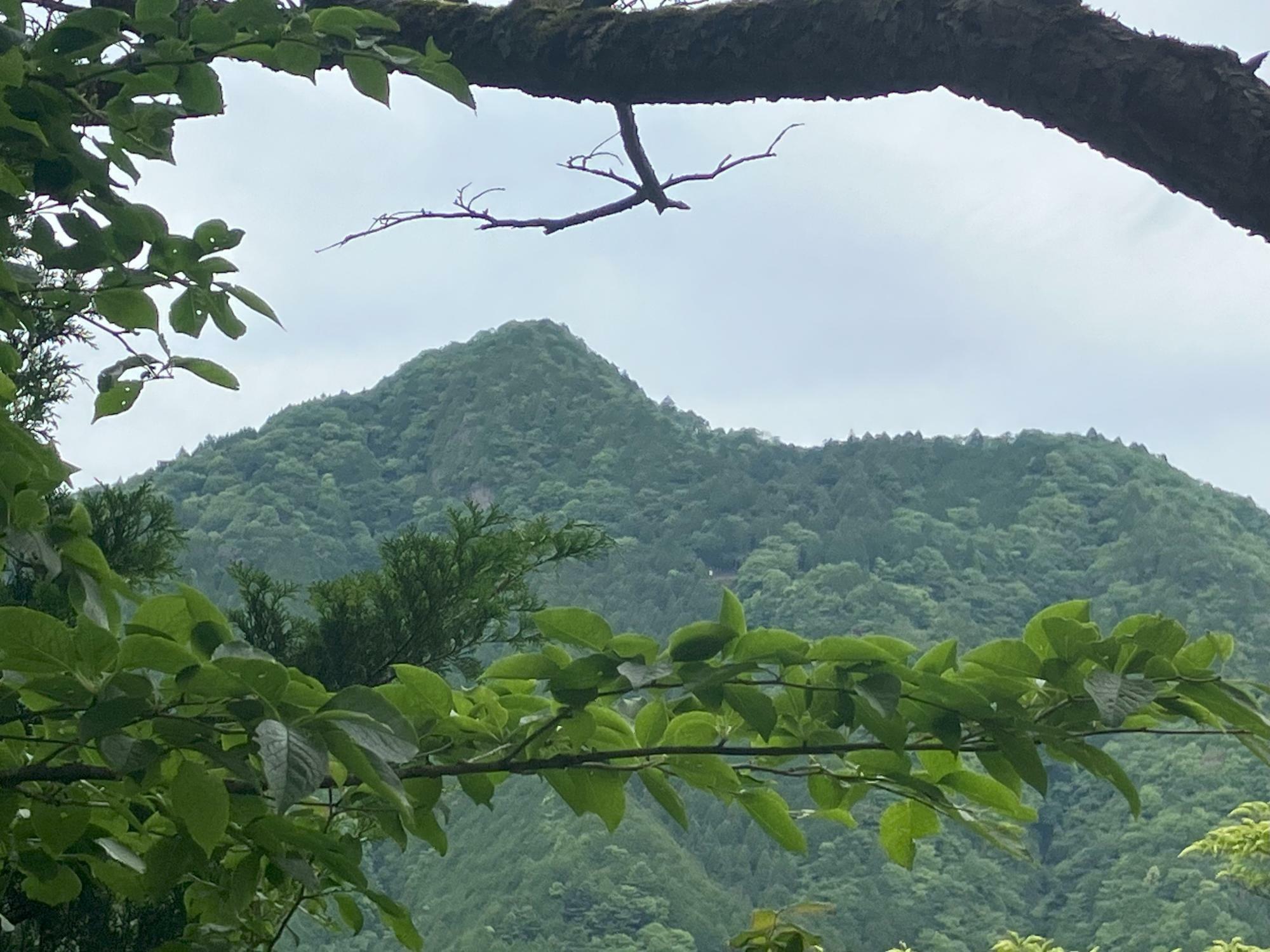 大岳山でしょうか