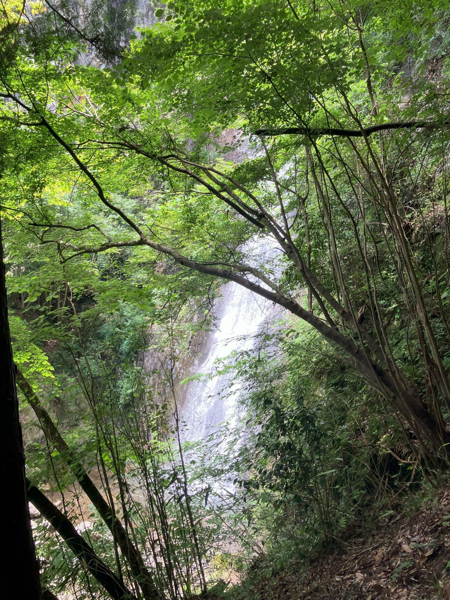 天狗ノ滝が見えてくる