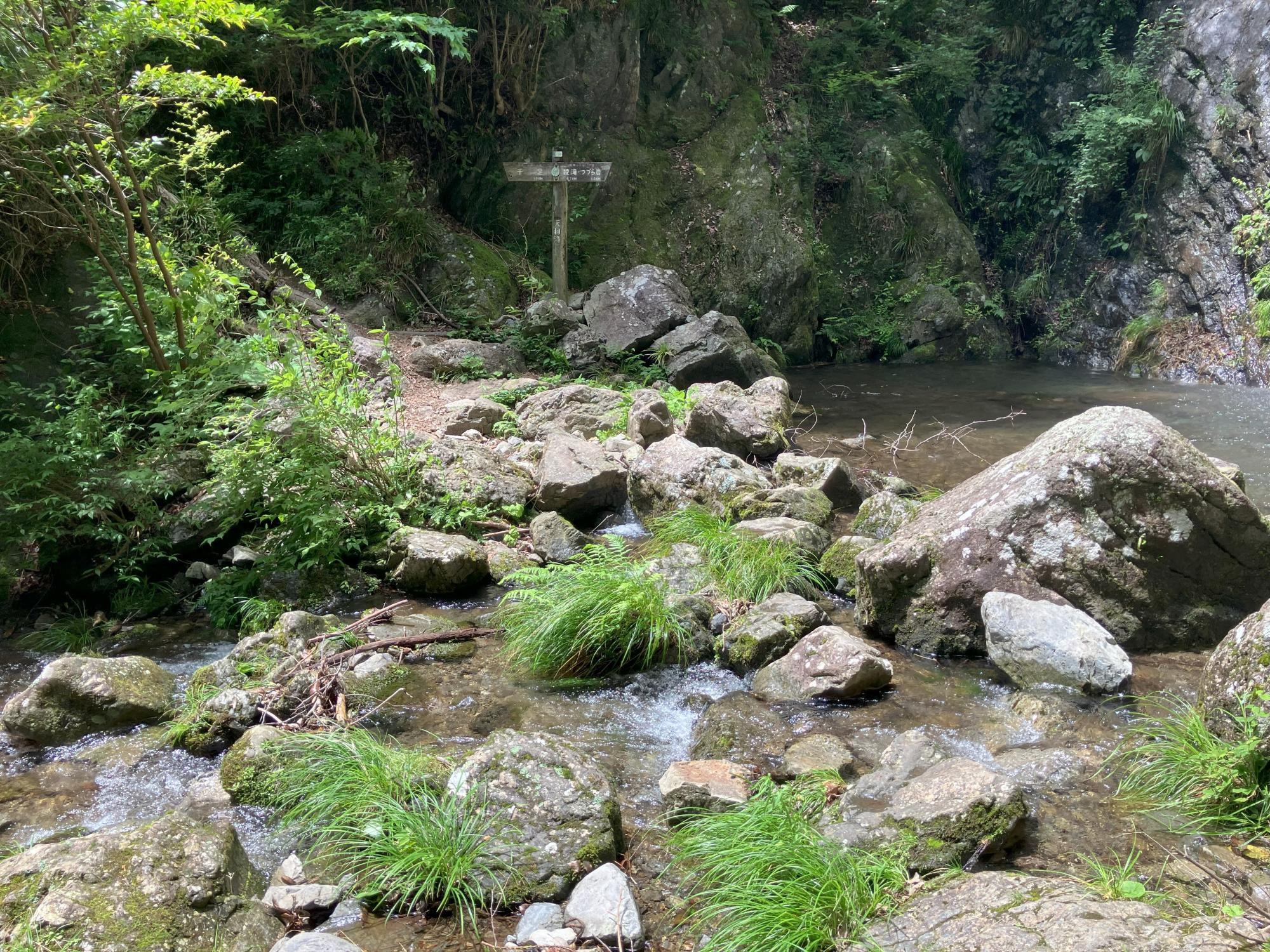 天狗ノ滝を渡渉する