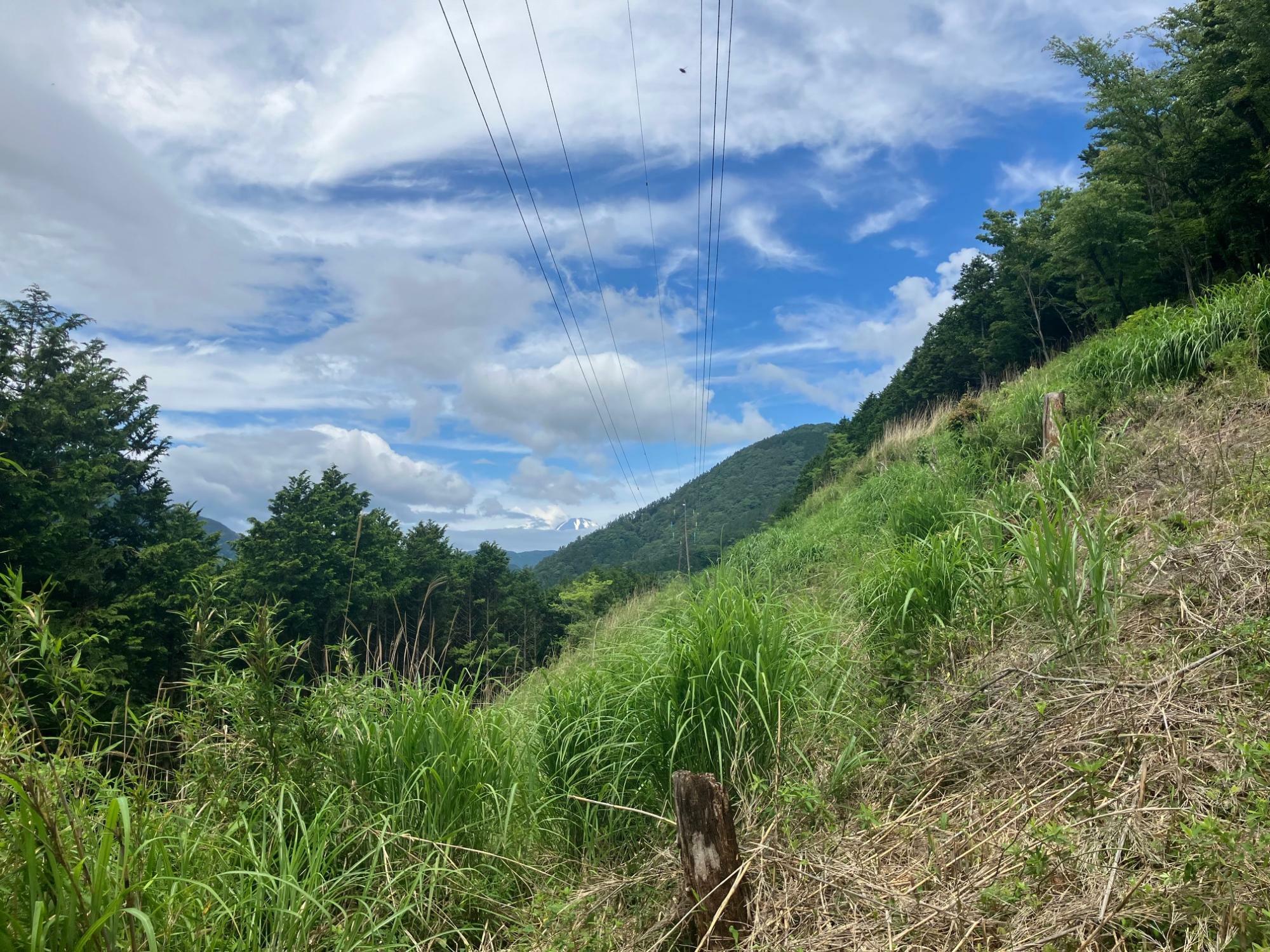 左手にちょこんと富士山が頭をのぞかせる