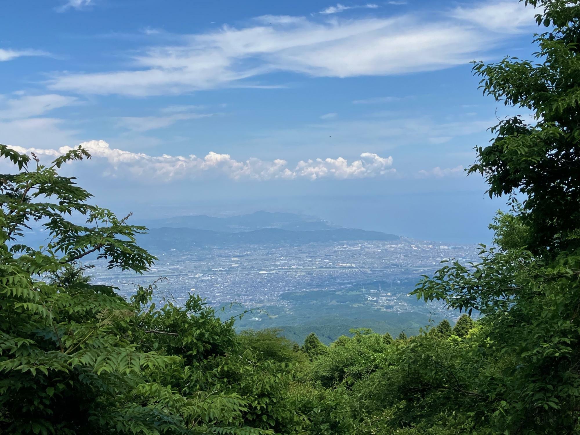 振り返れば相模湾