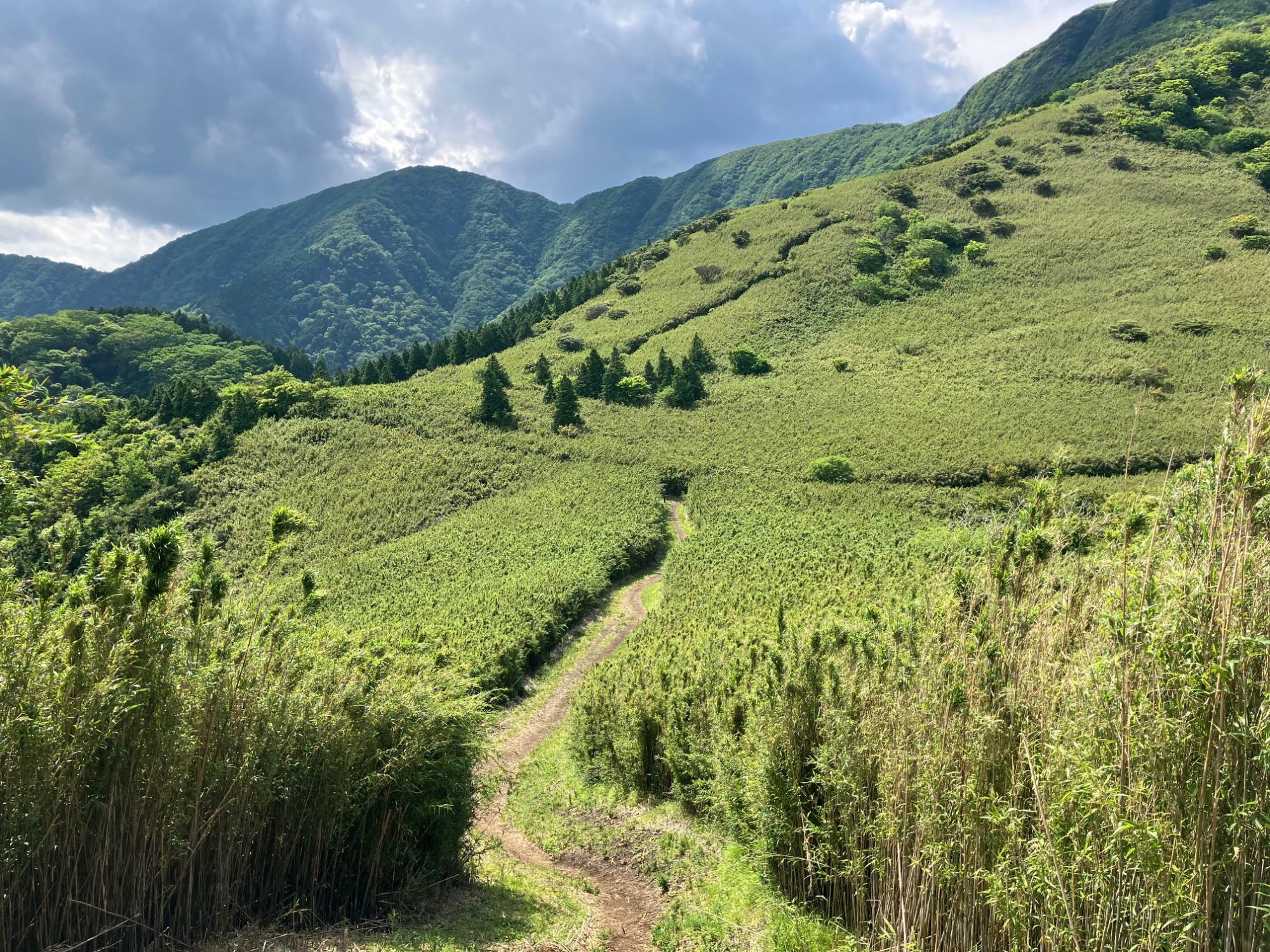 カヤト原の間を登山道が貫く