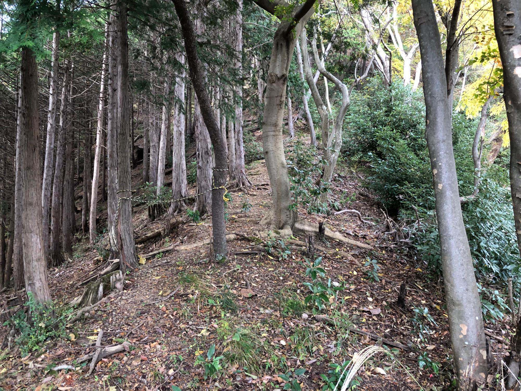 直登気味に意外に登らされます