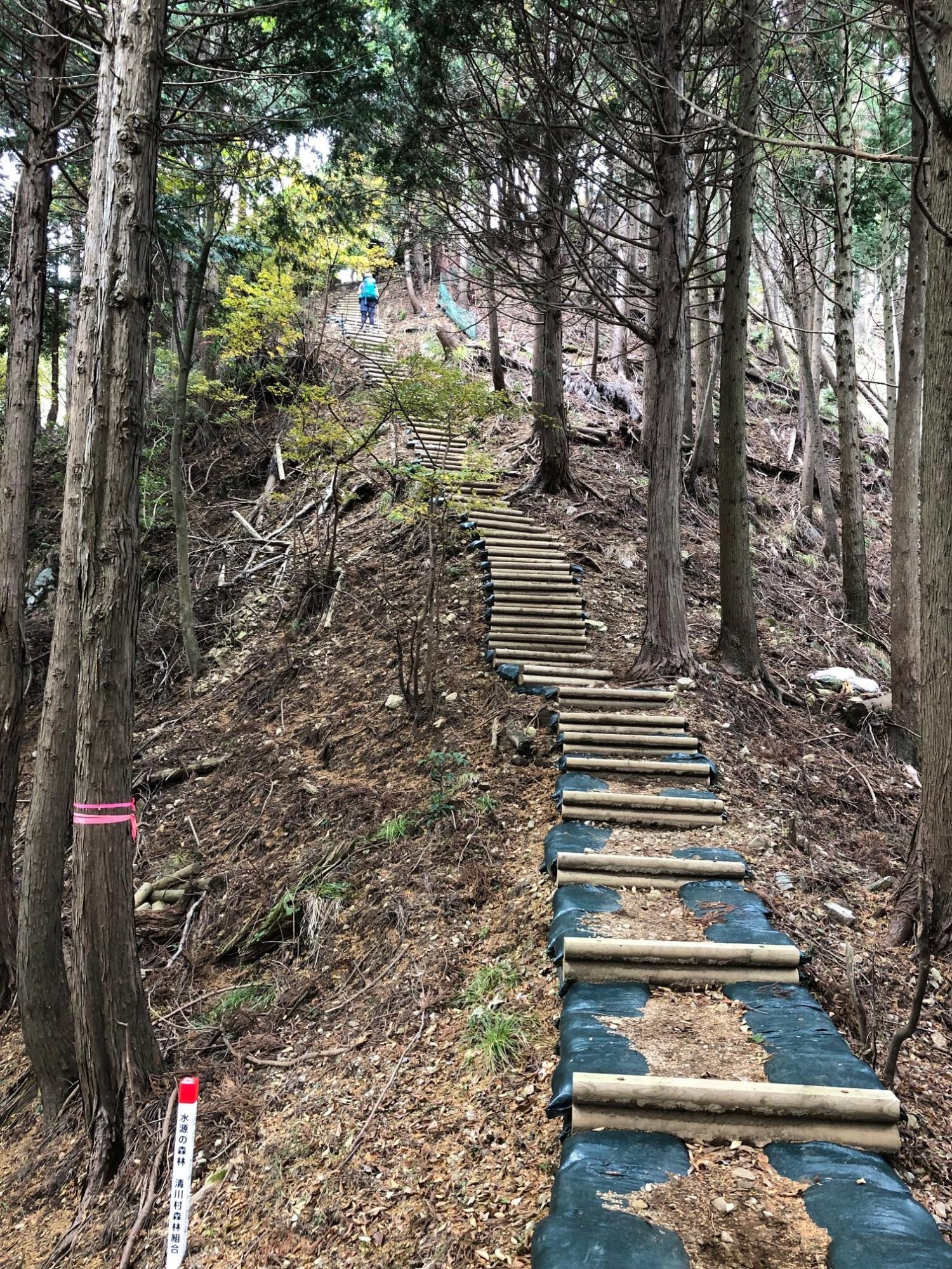 丹沢名物（？）の階段道　ガッツリ登ります