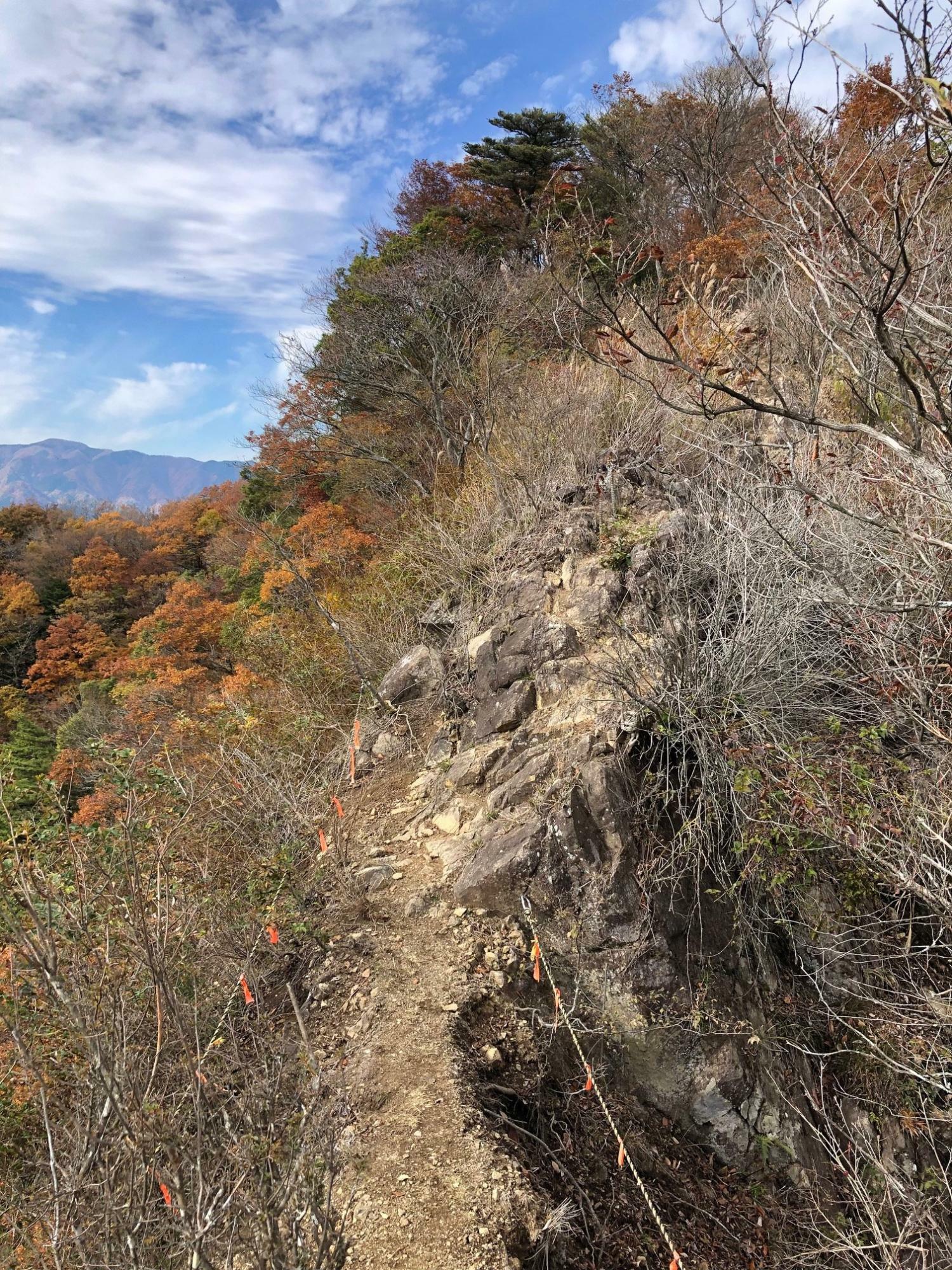 仏果山手前の岩のヤセ尾根