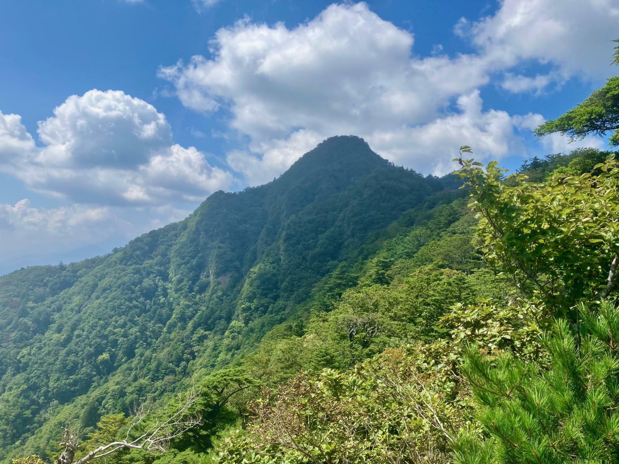 十二ヶ岳を望む