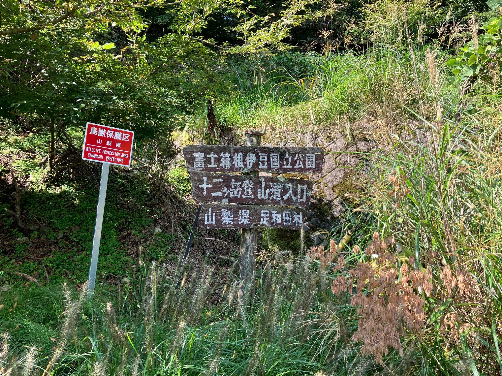 「毛無山登山口」バス停そばの登山口の看板