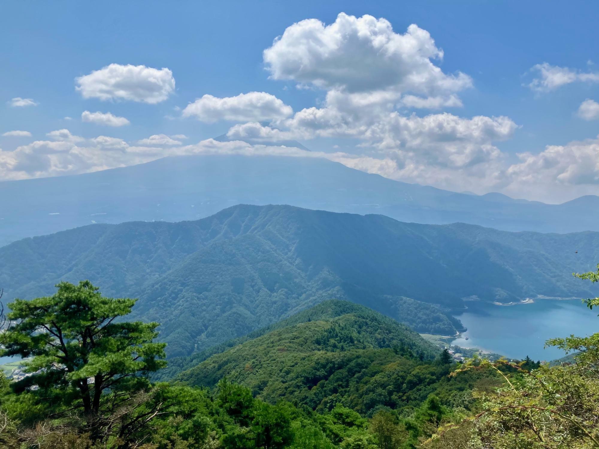 毛無山頂上からの眺望　富士山は山頂がちょうど雲に隠れています