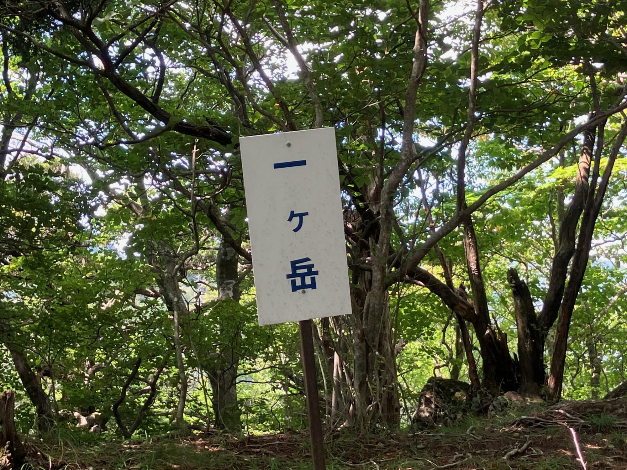 「一ヶ岳」の看板　このあと「十二ヶ岳」まで同じ看板が続きます