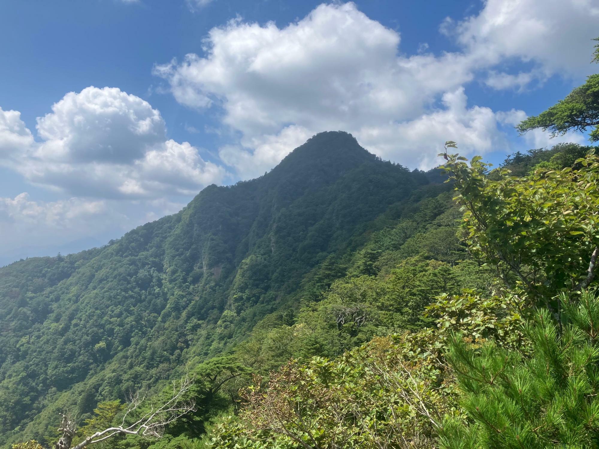 向かう先の十二ヶ岳の遠望