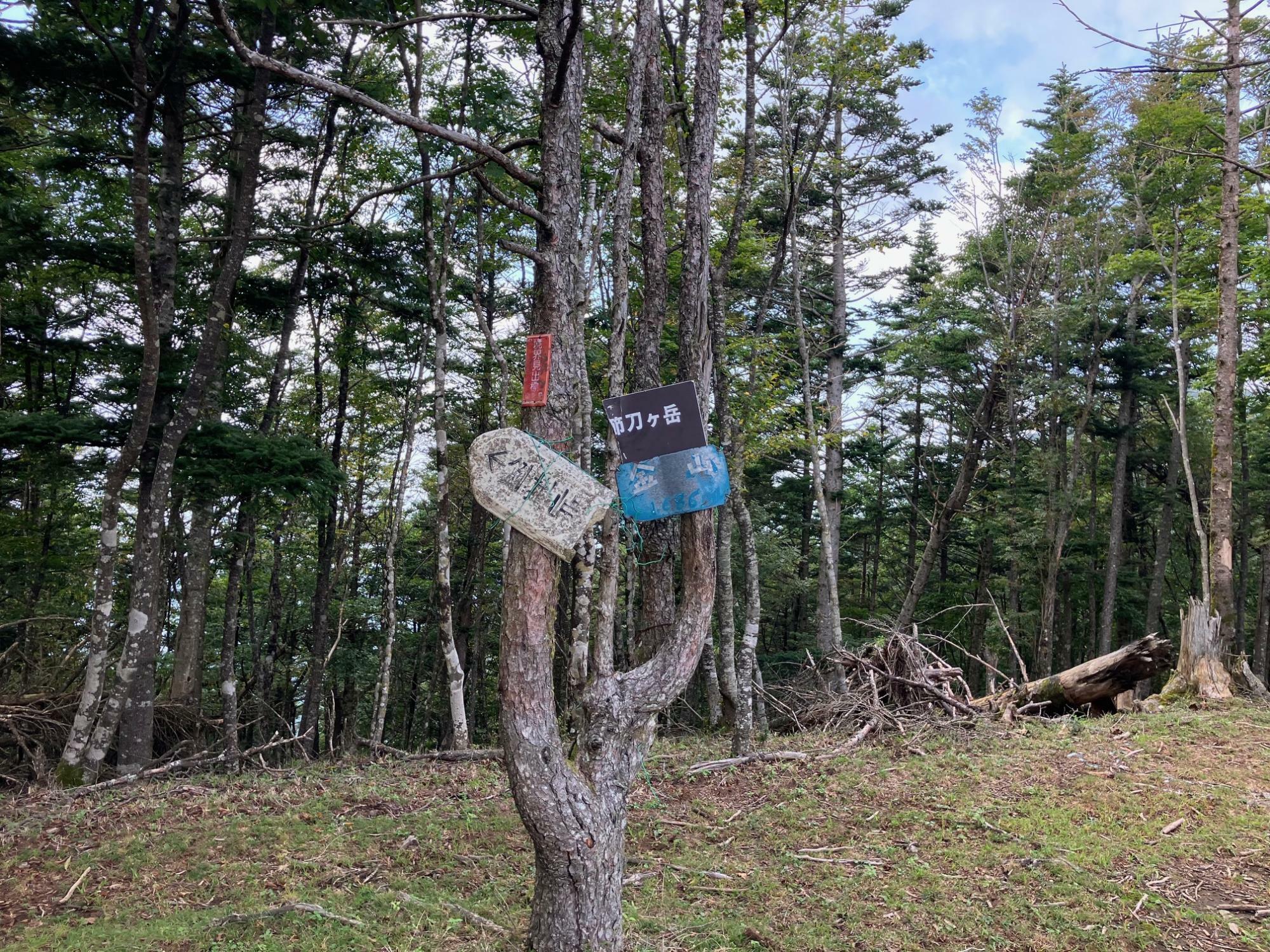 金山は広い草地　左手の「鍵掛峠」と指示された方へ進みます